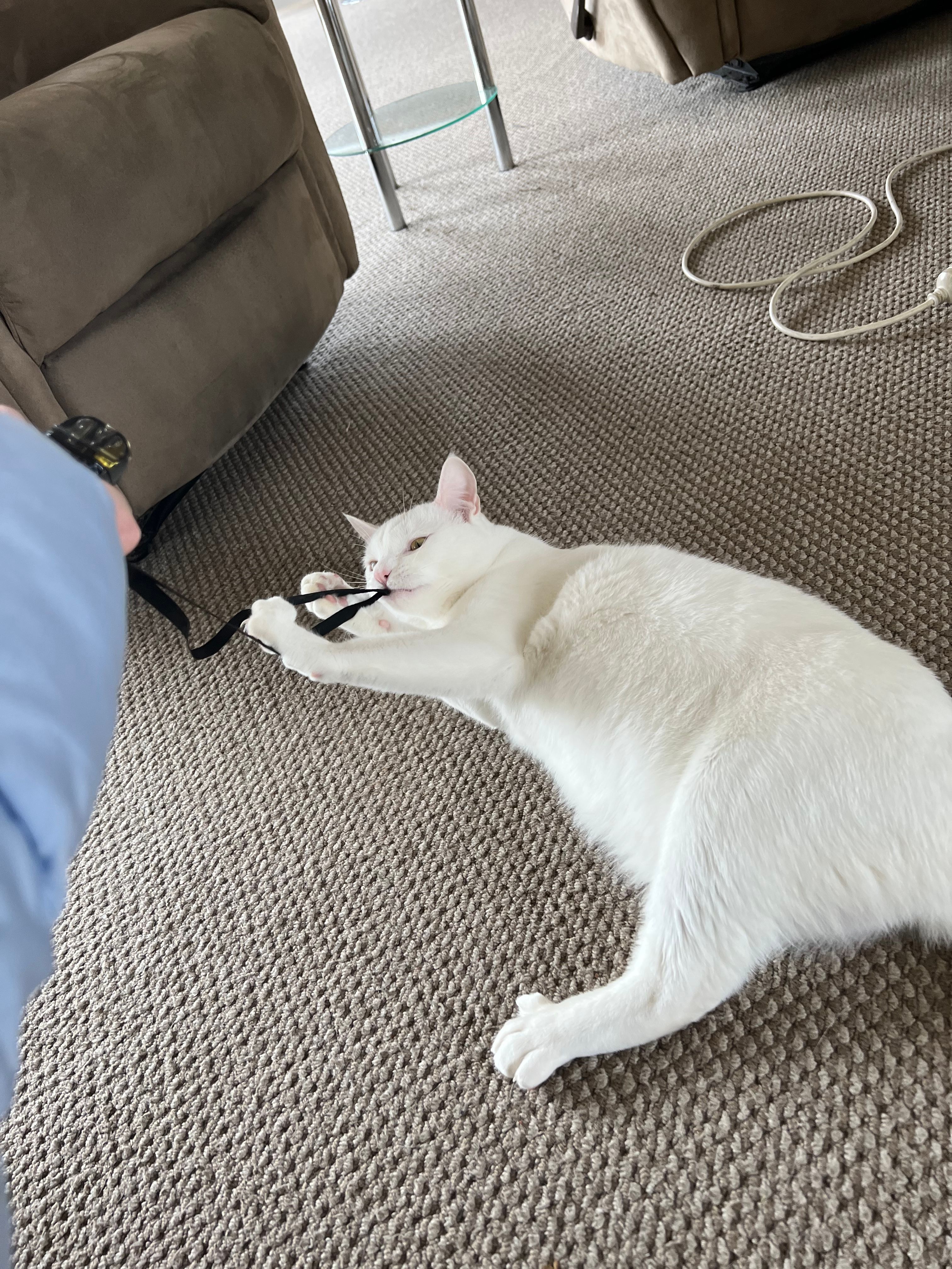 image-11
