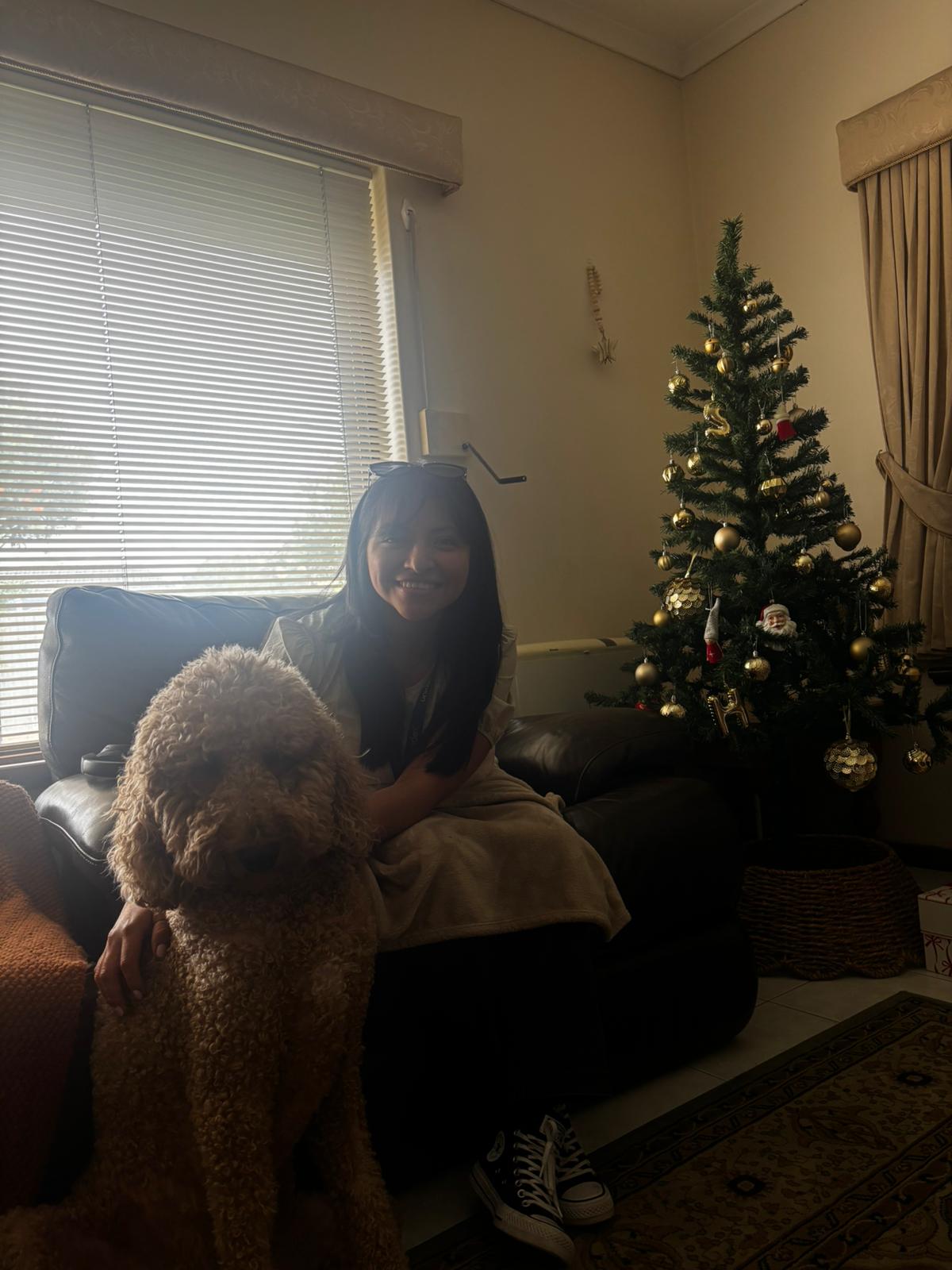 image-12