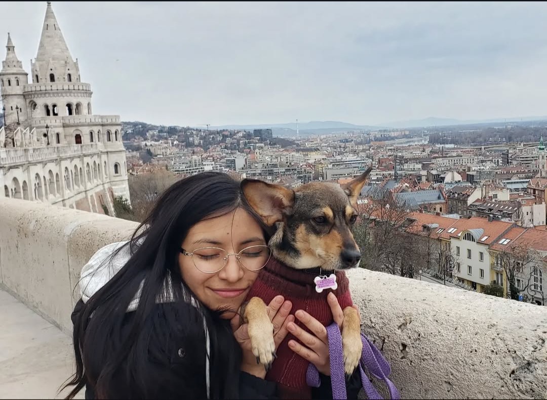 image-11