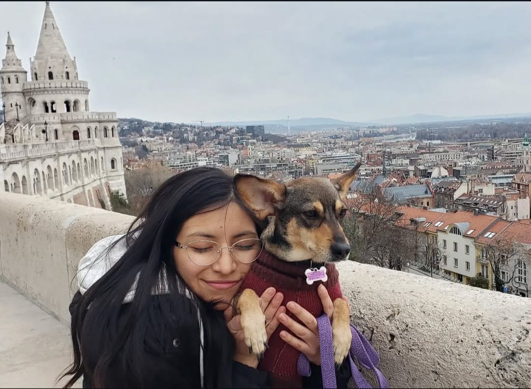 image-11