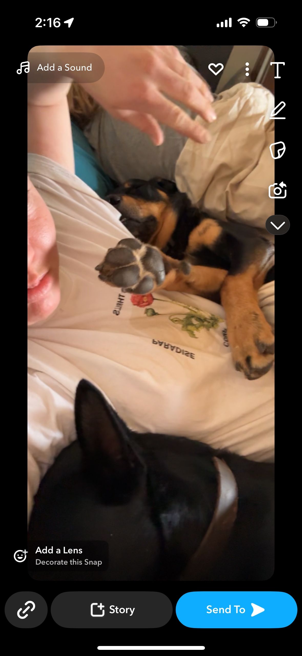 image-6