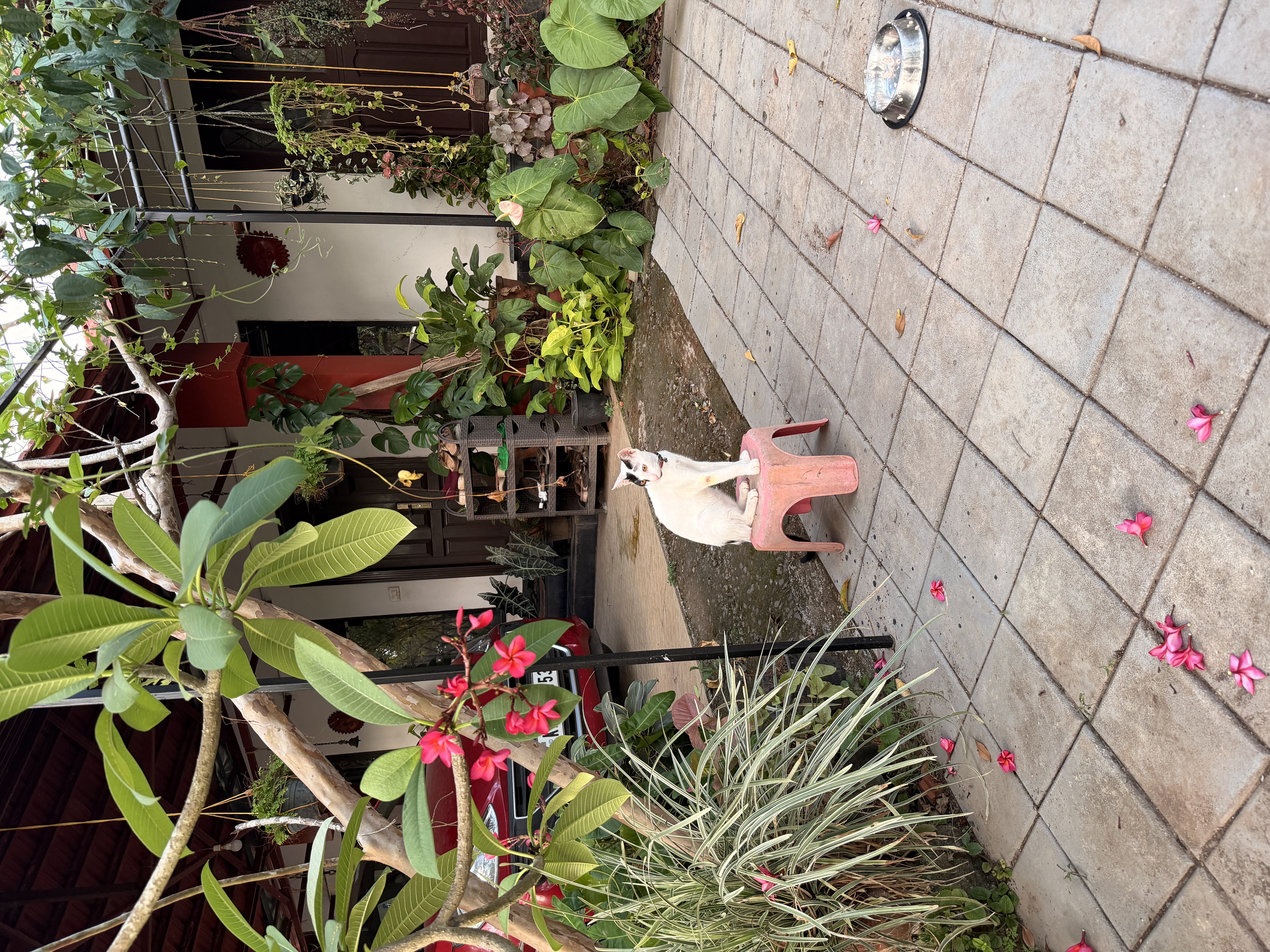 image-8