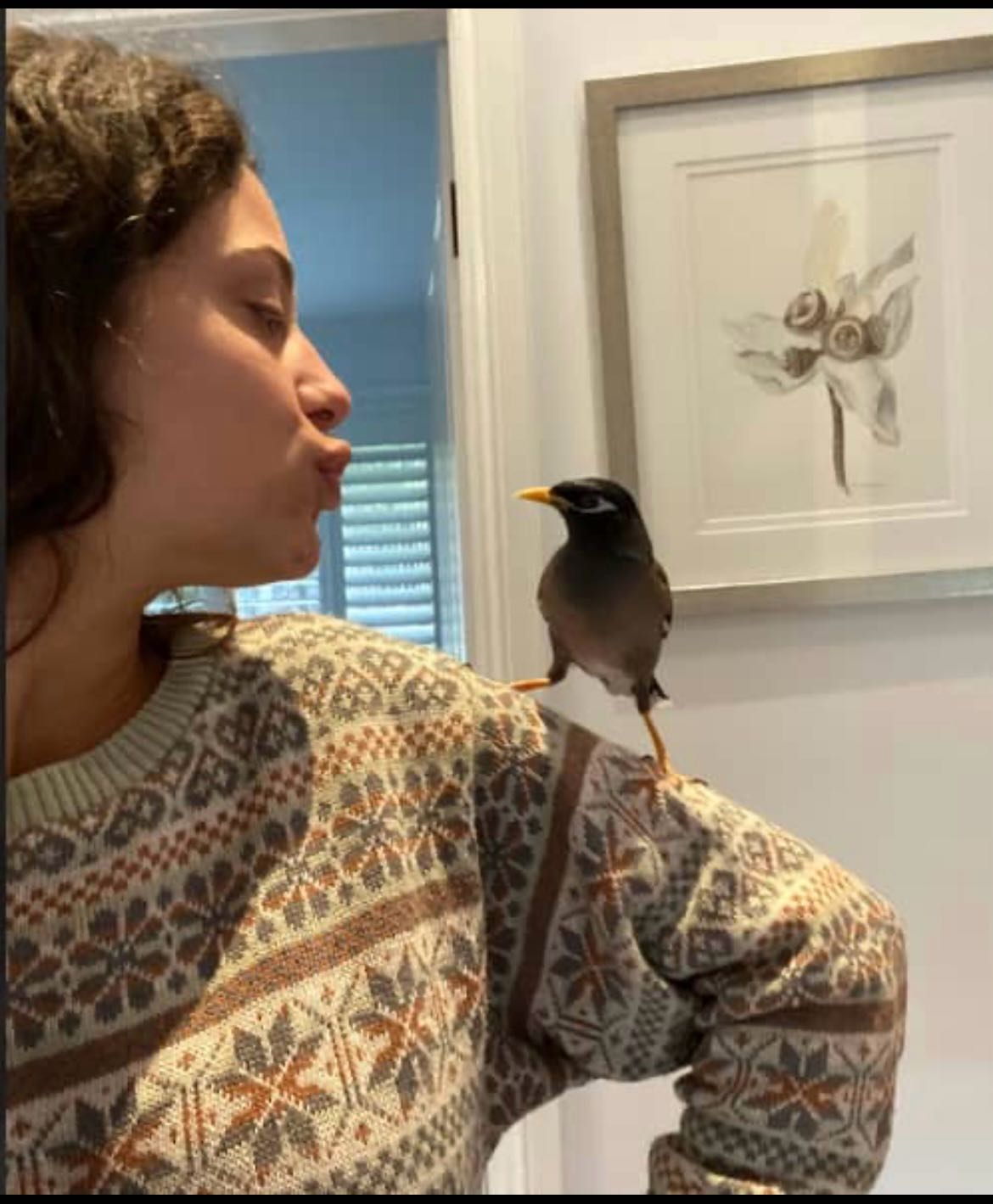 image-2