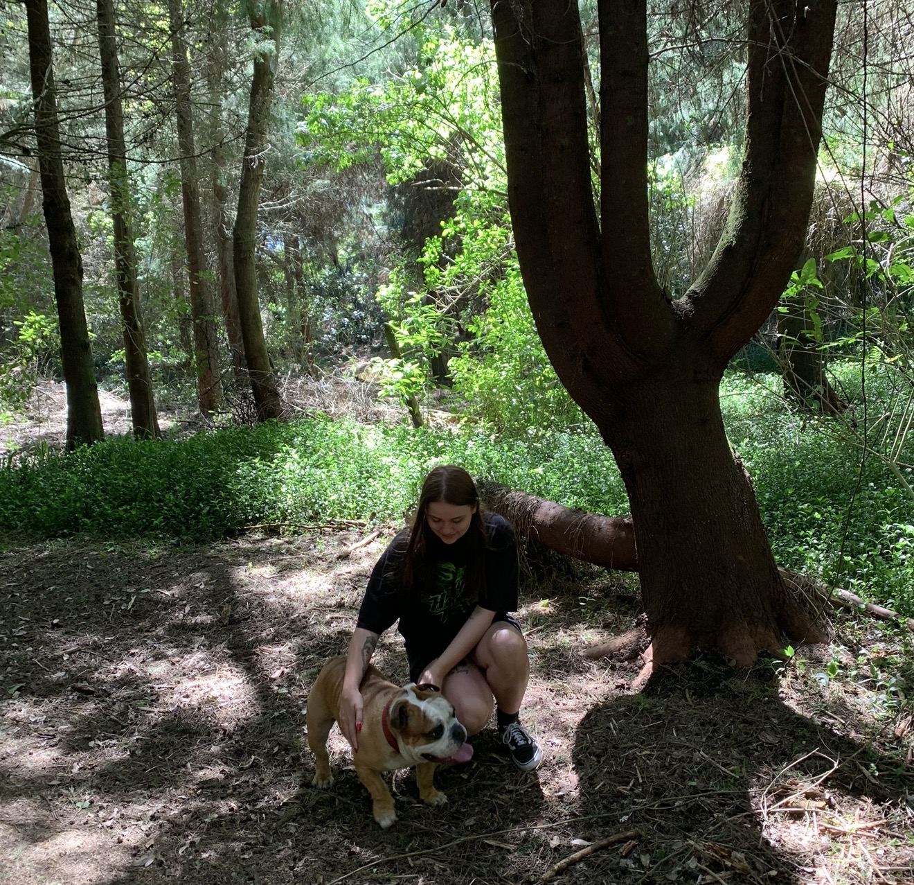 image-2