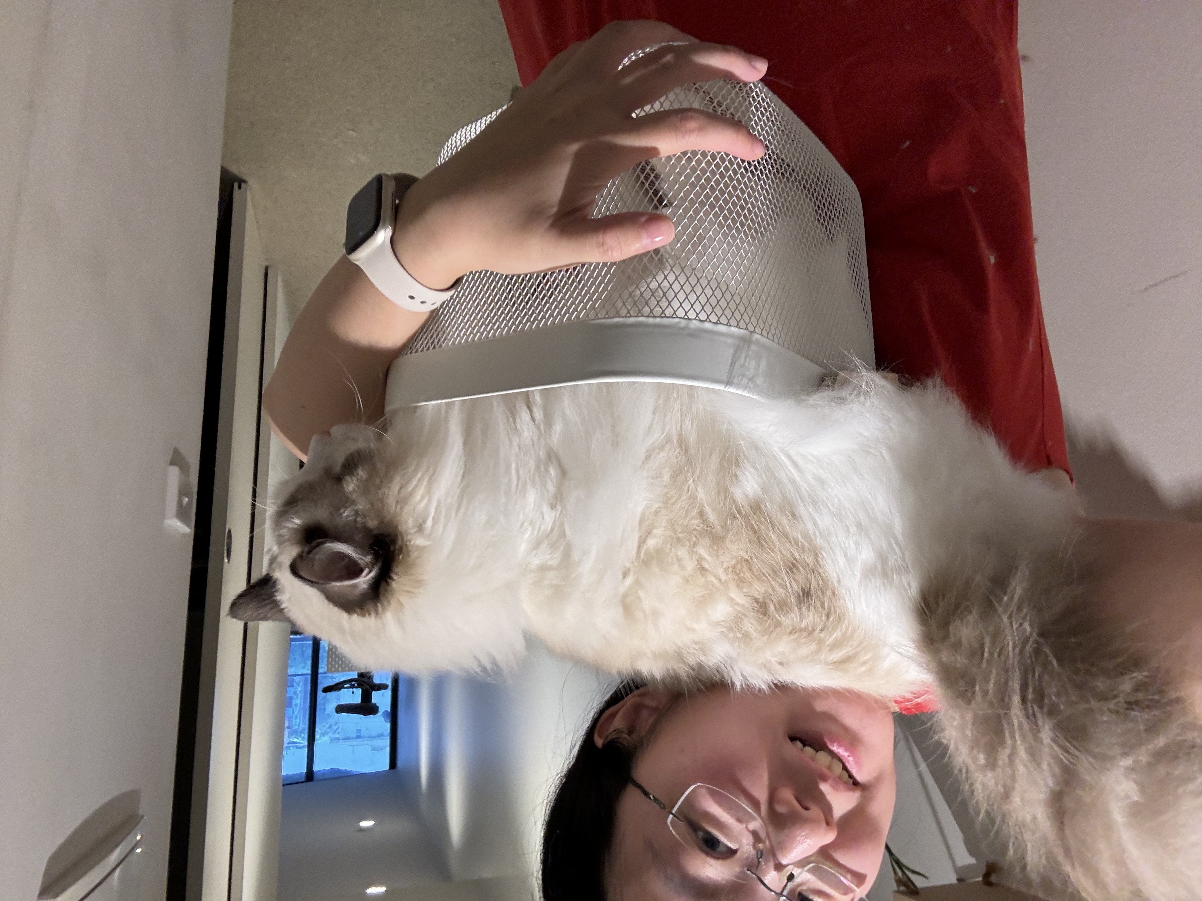 image-11