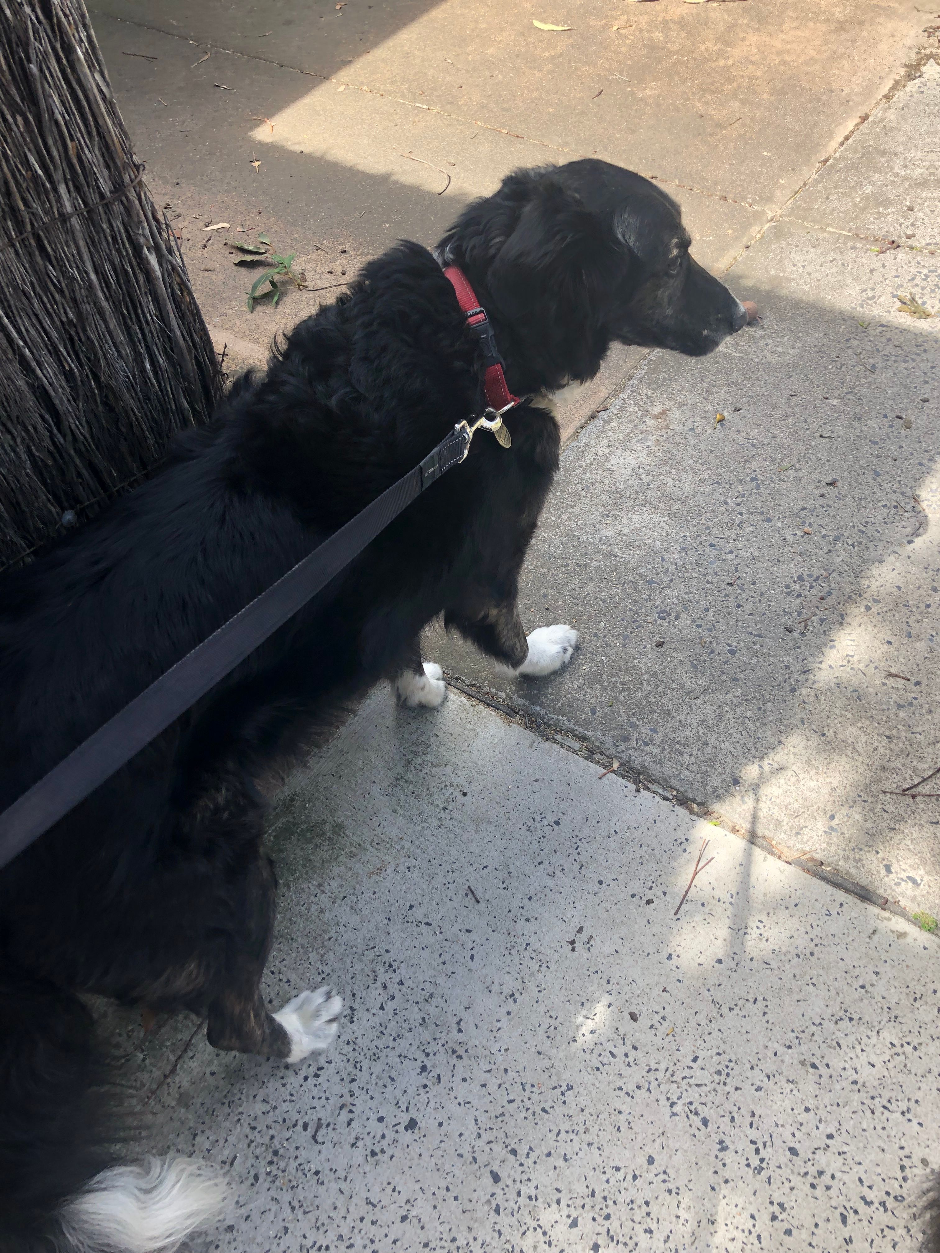 image-19
