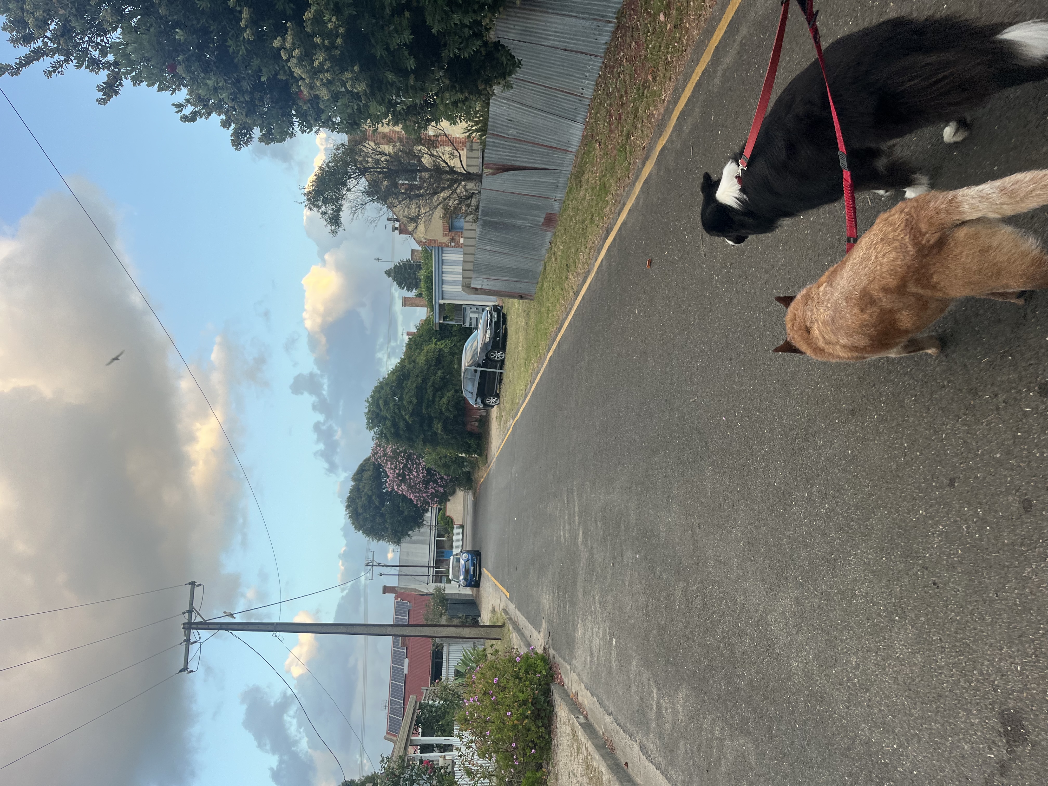 image-24
