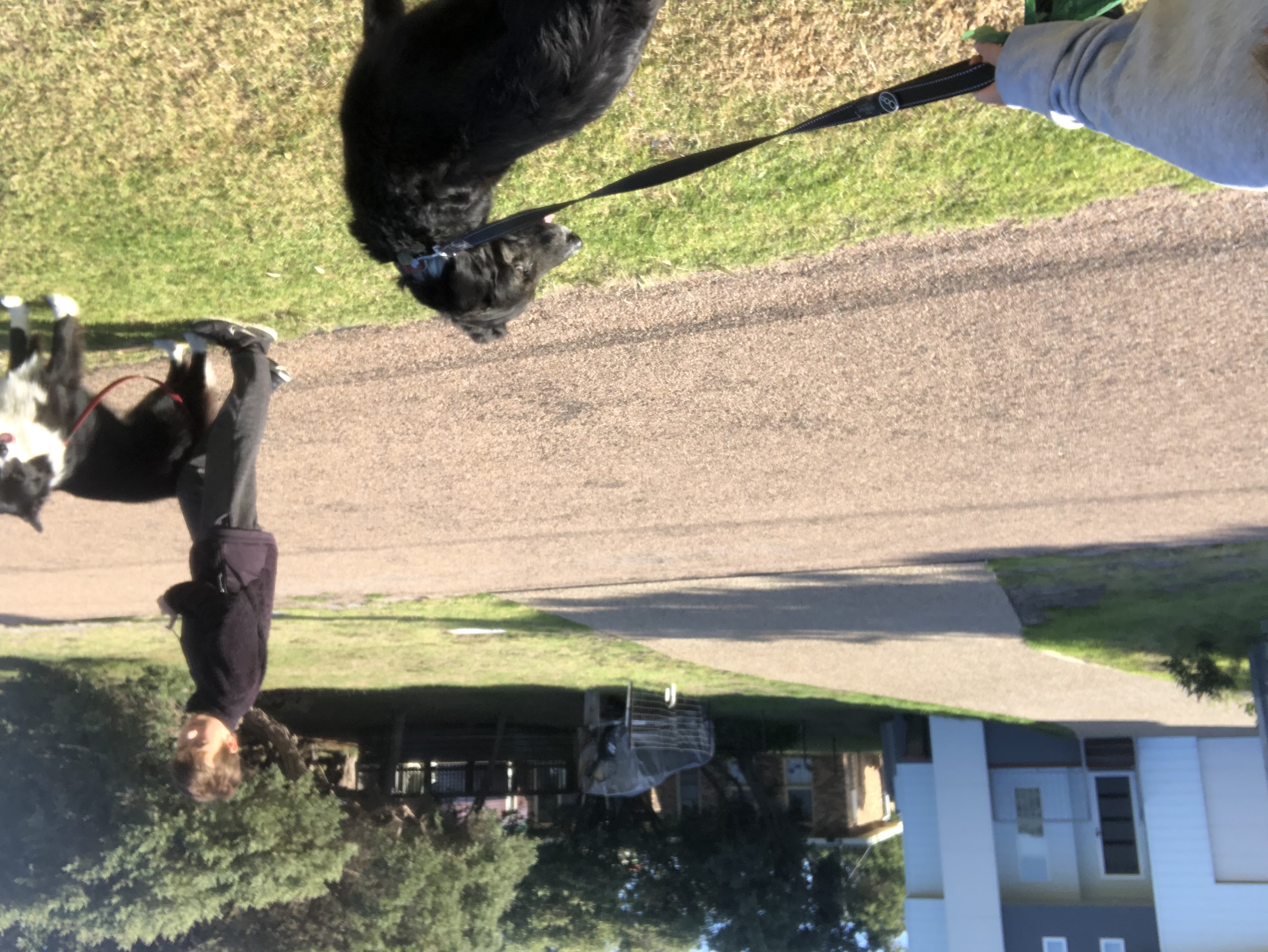 image-17