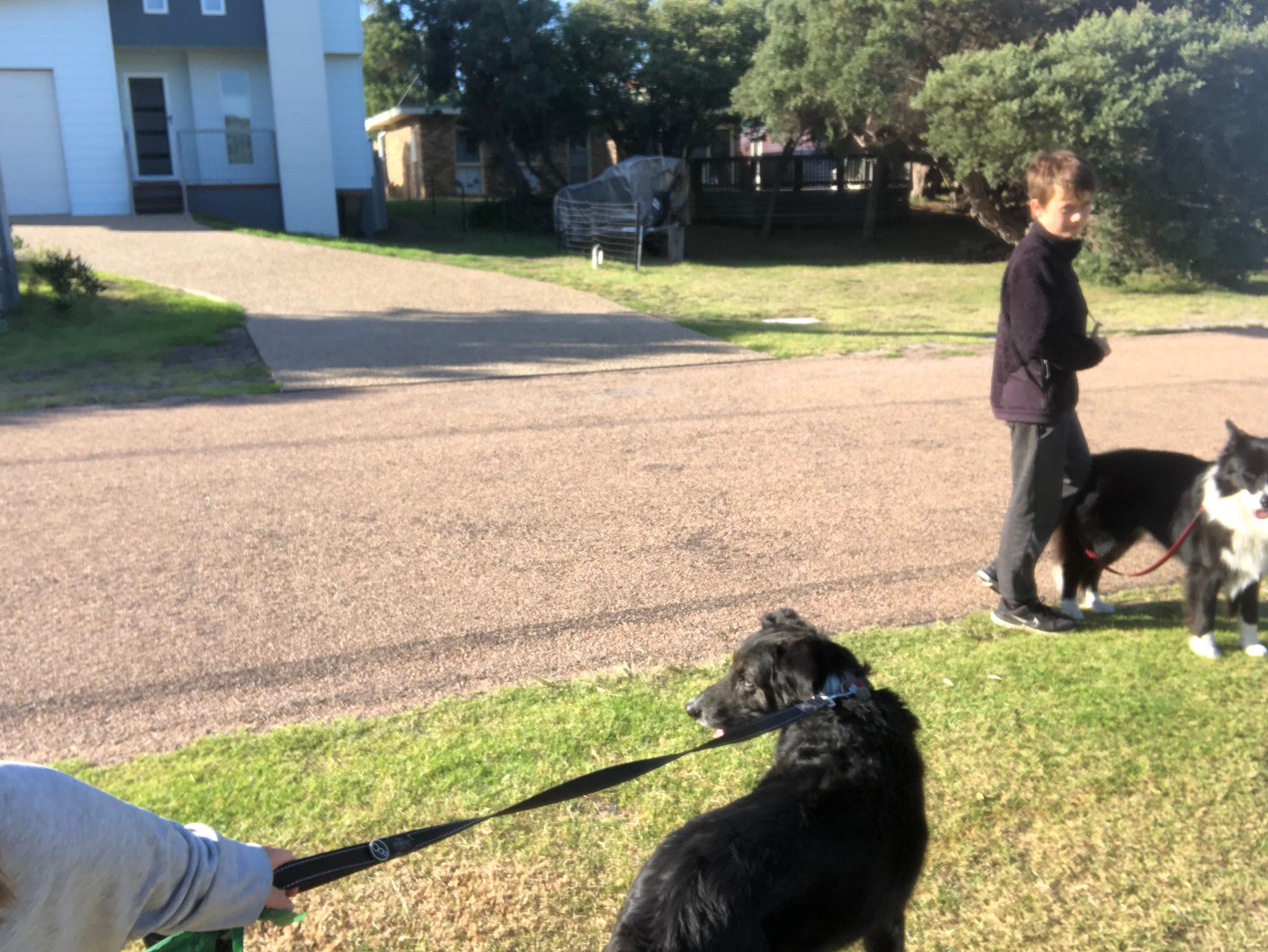 image-17