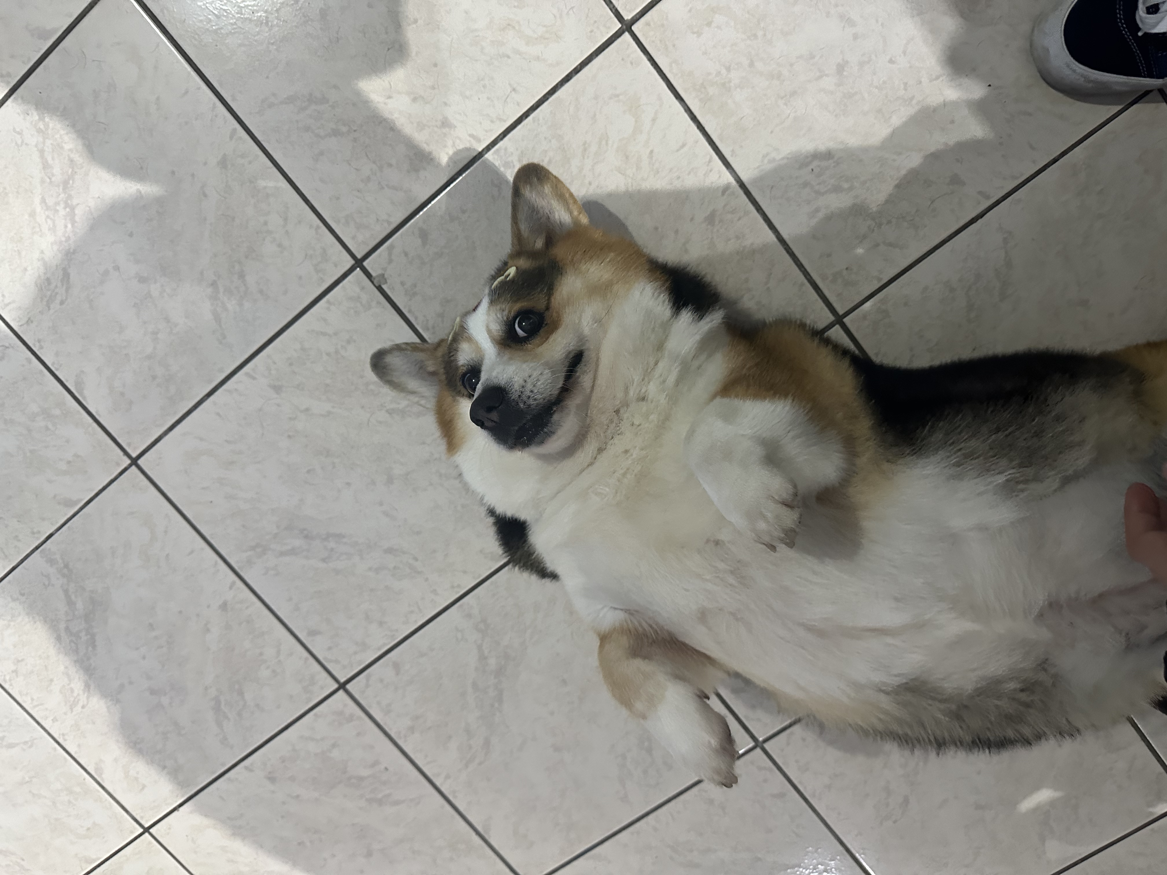 image-10