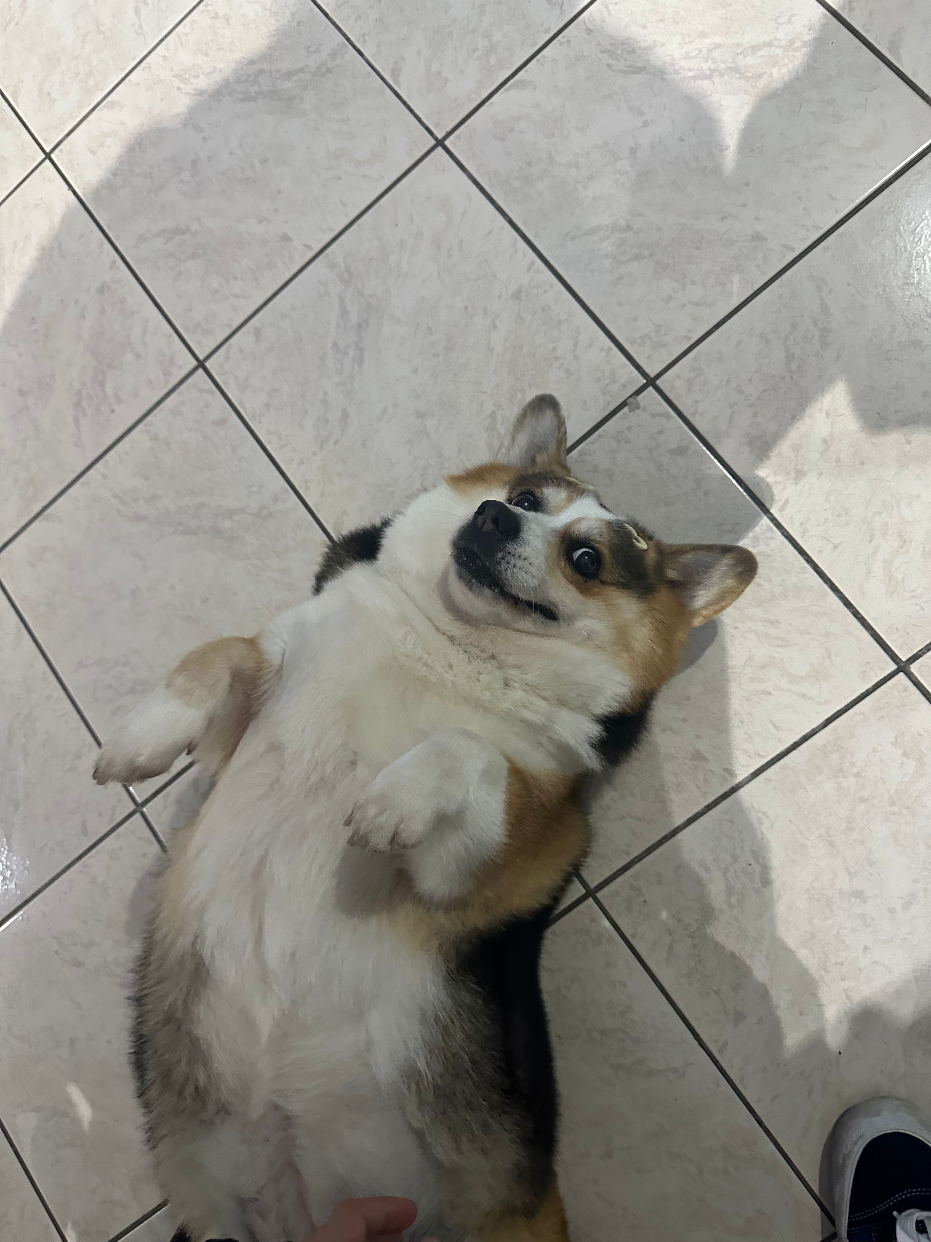 image-10