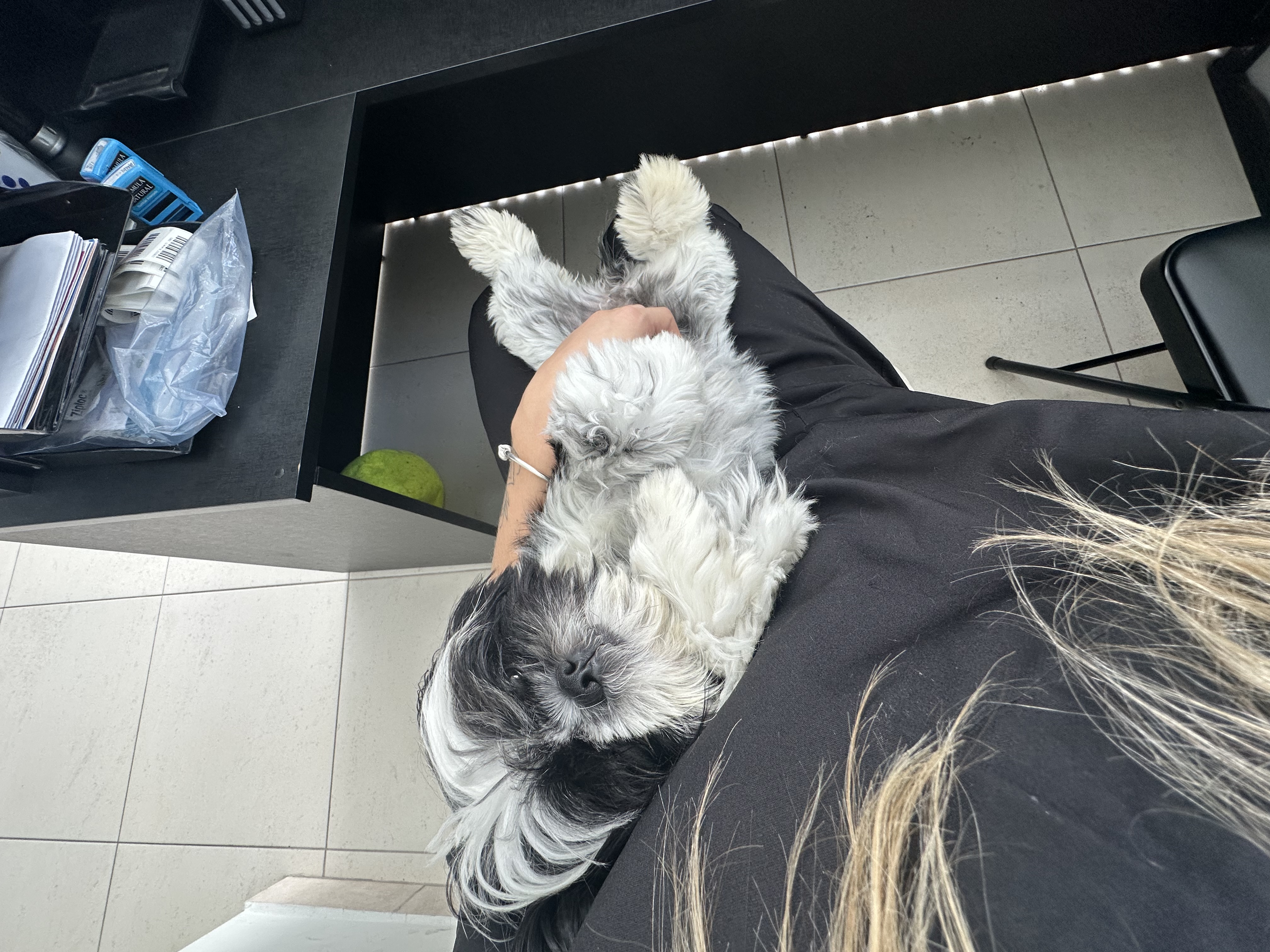 image-12