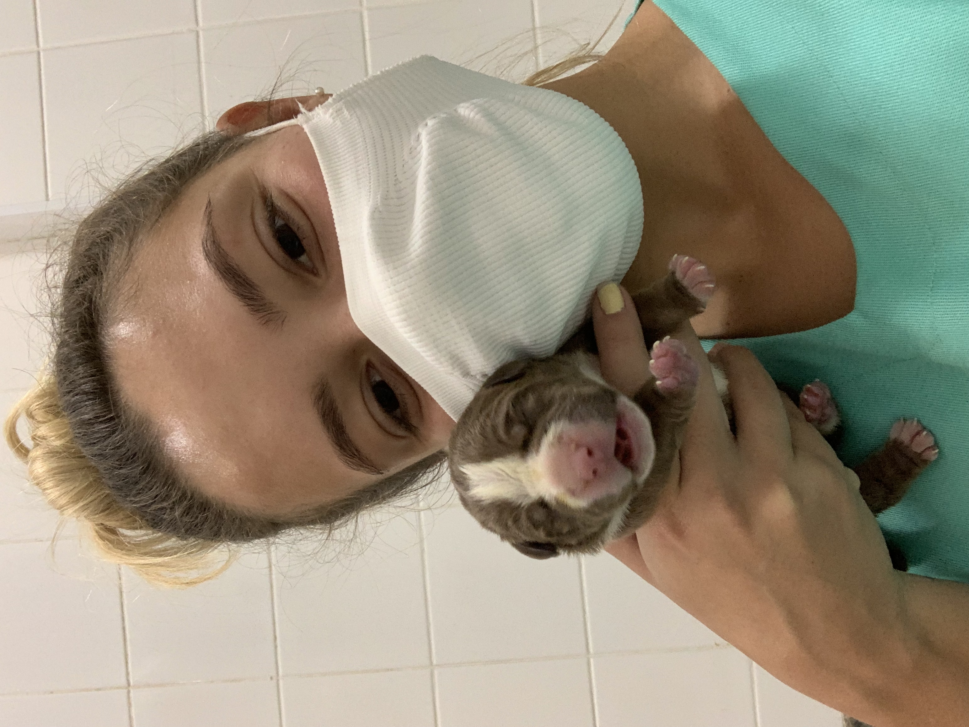 image-6