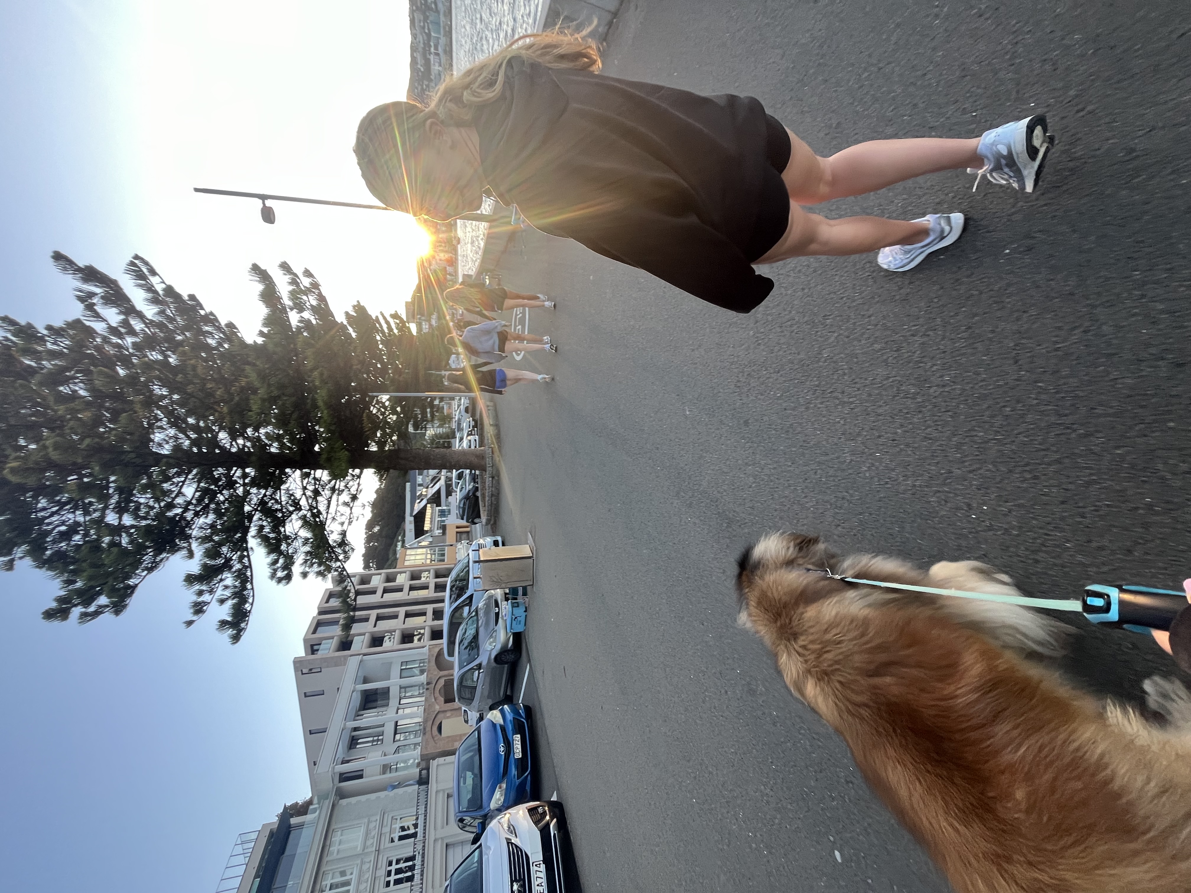 image-14