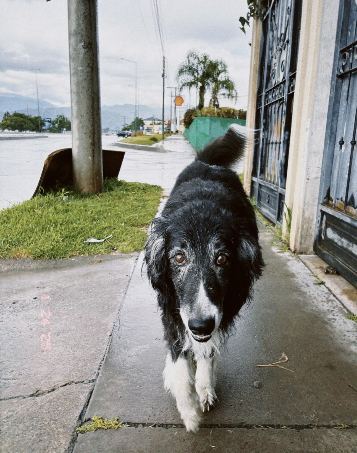 image-6
