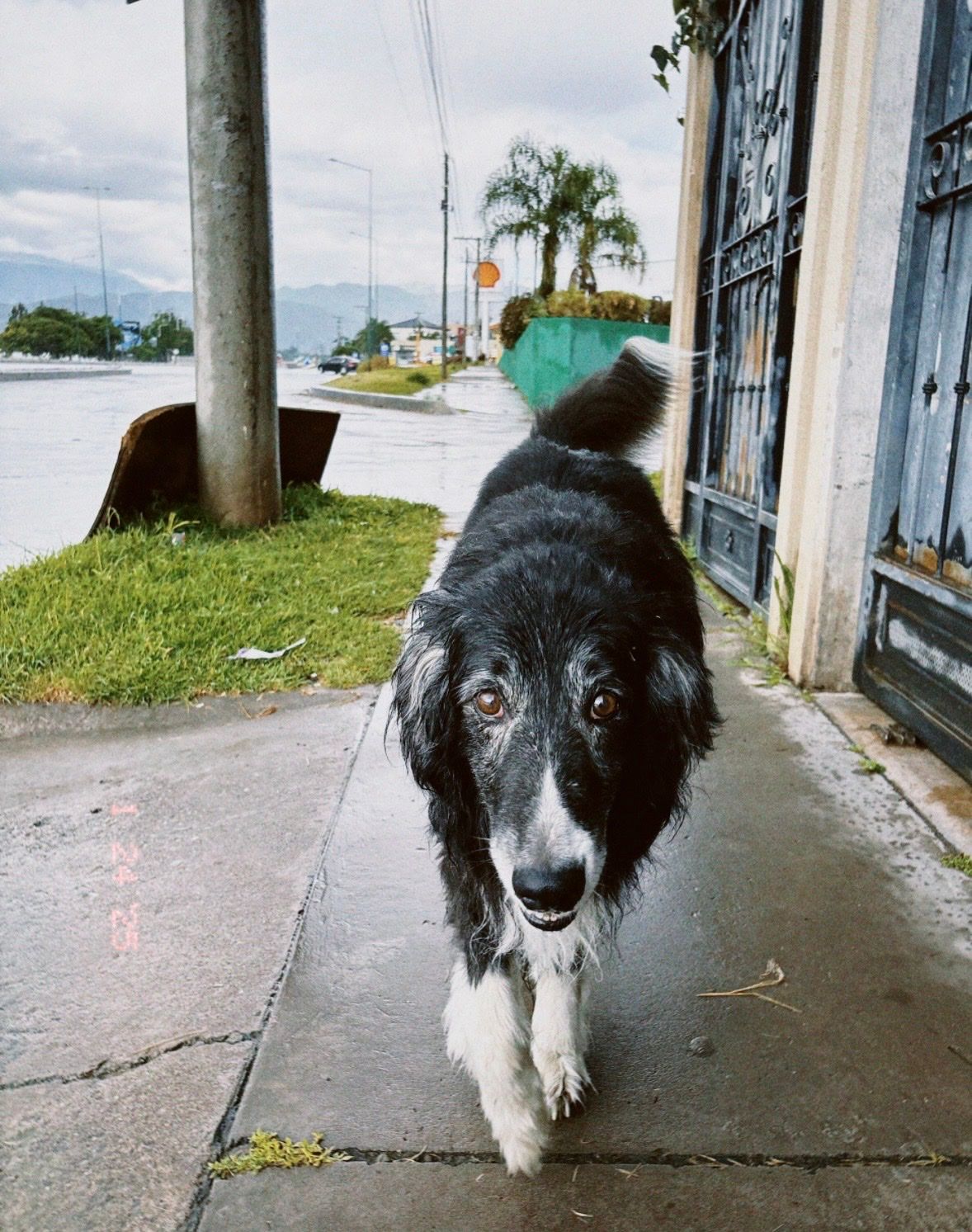 image-6
