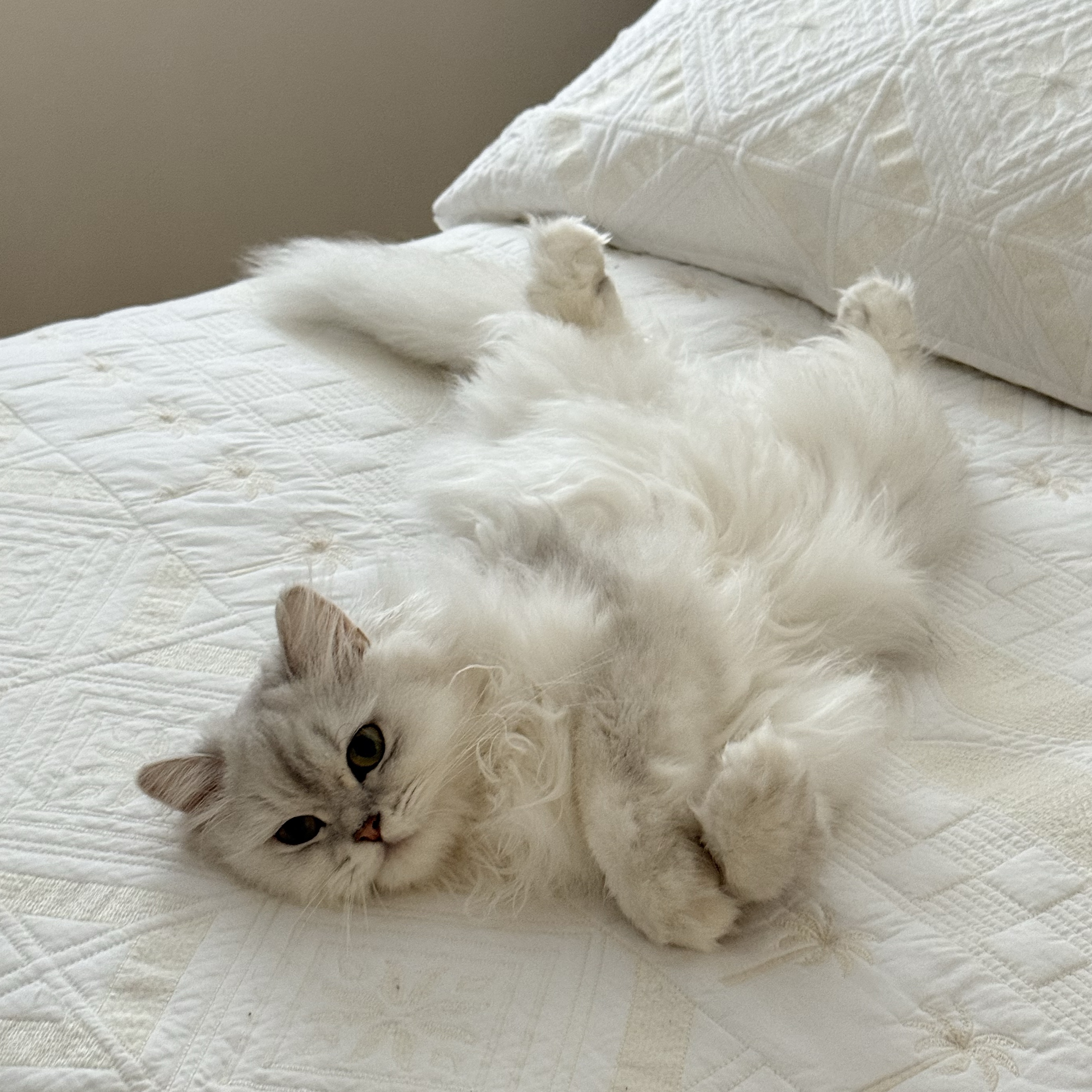 Minnie