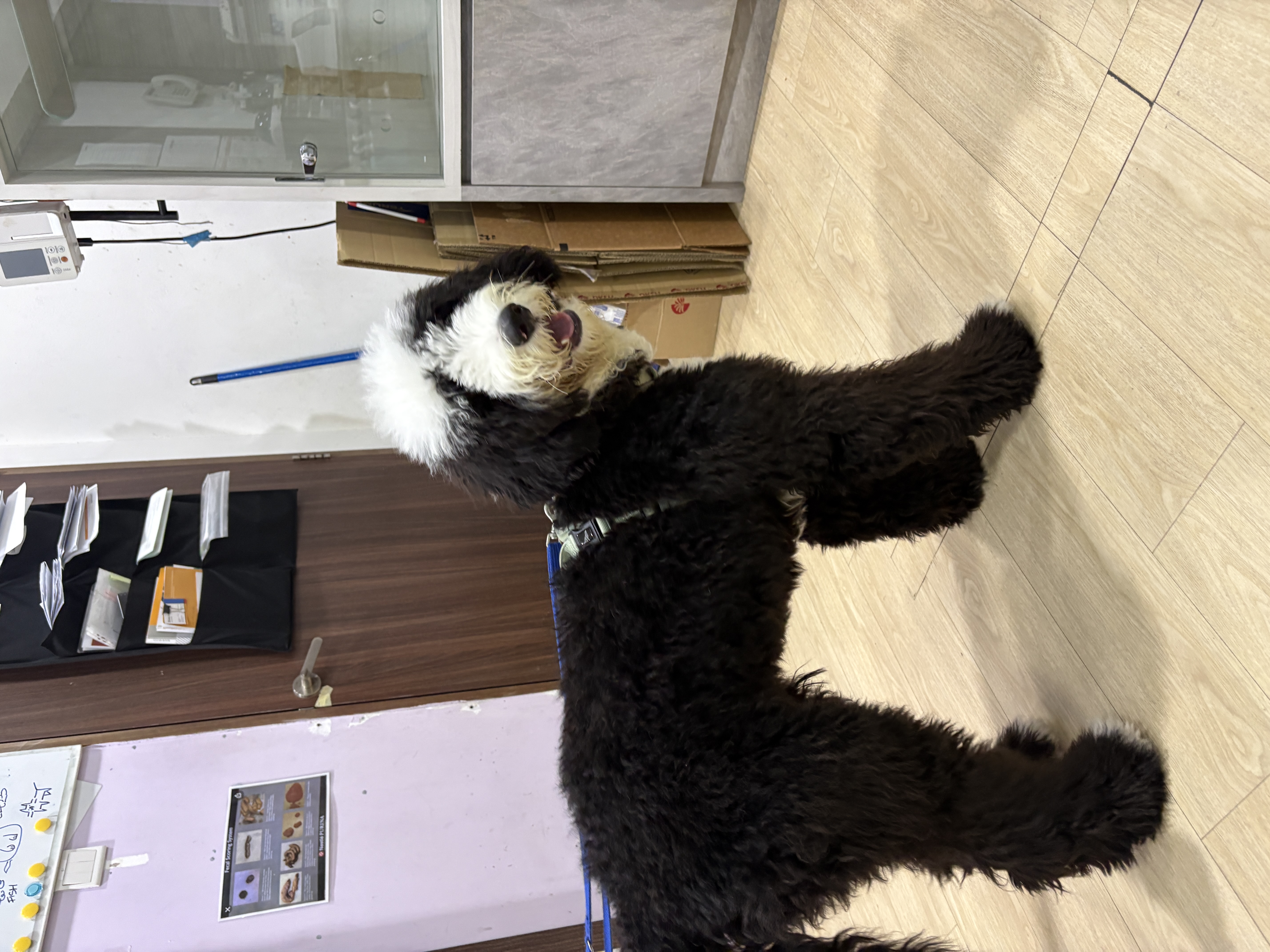 image-8