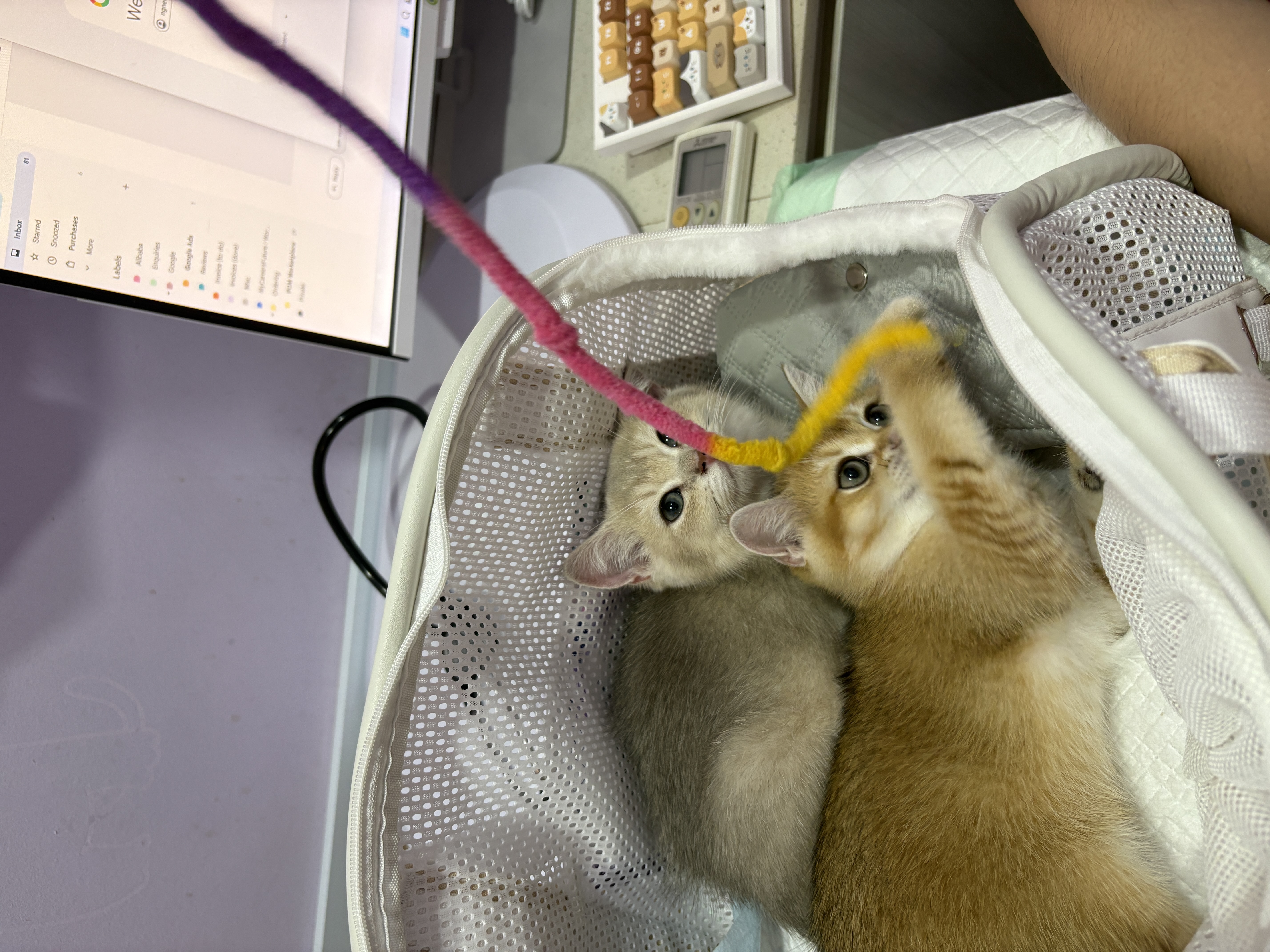 image-6