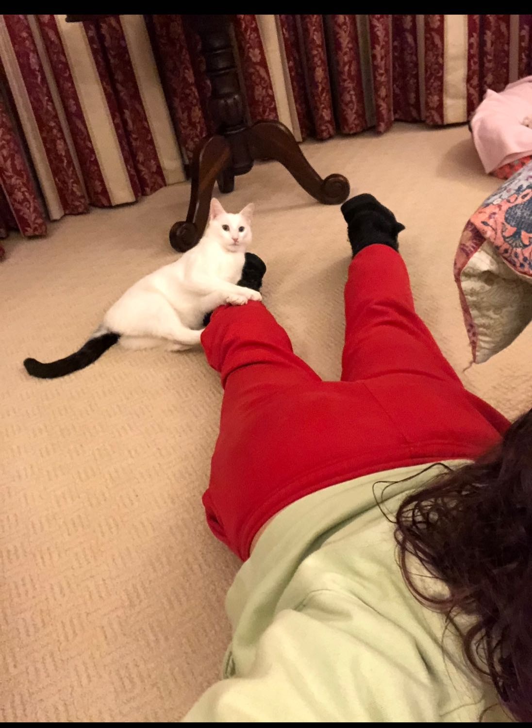 image-11