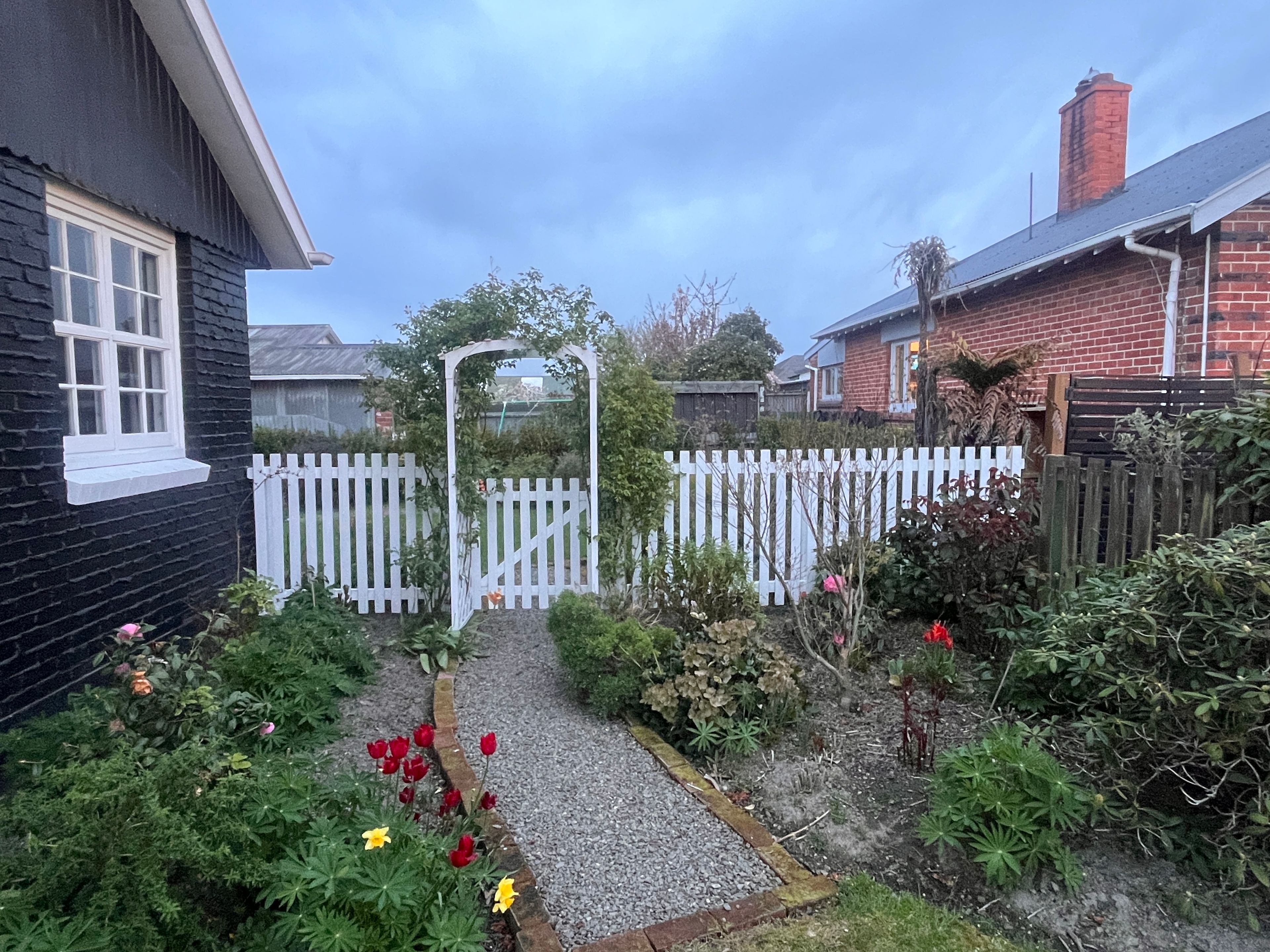 image-11