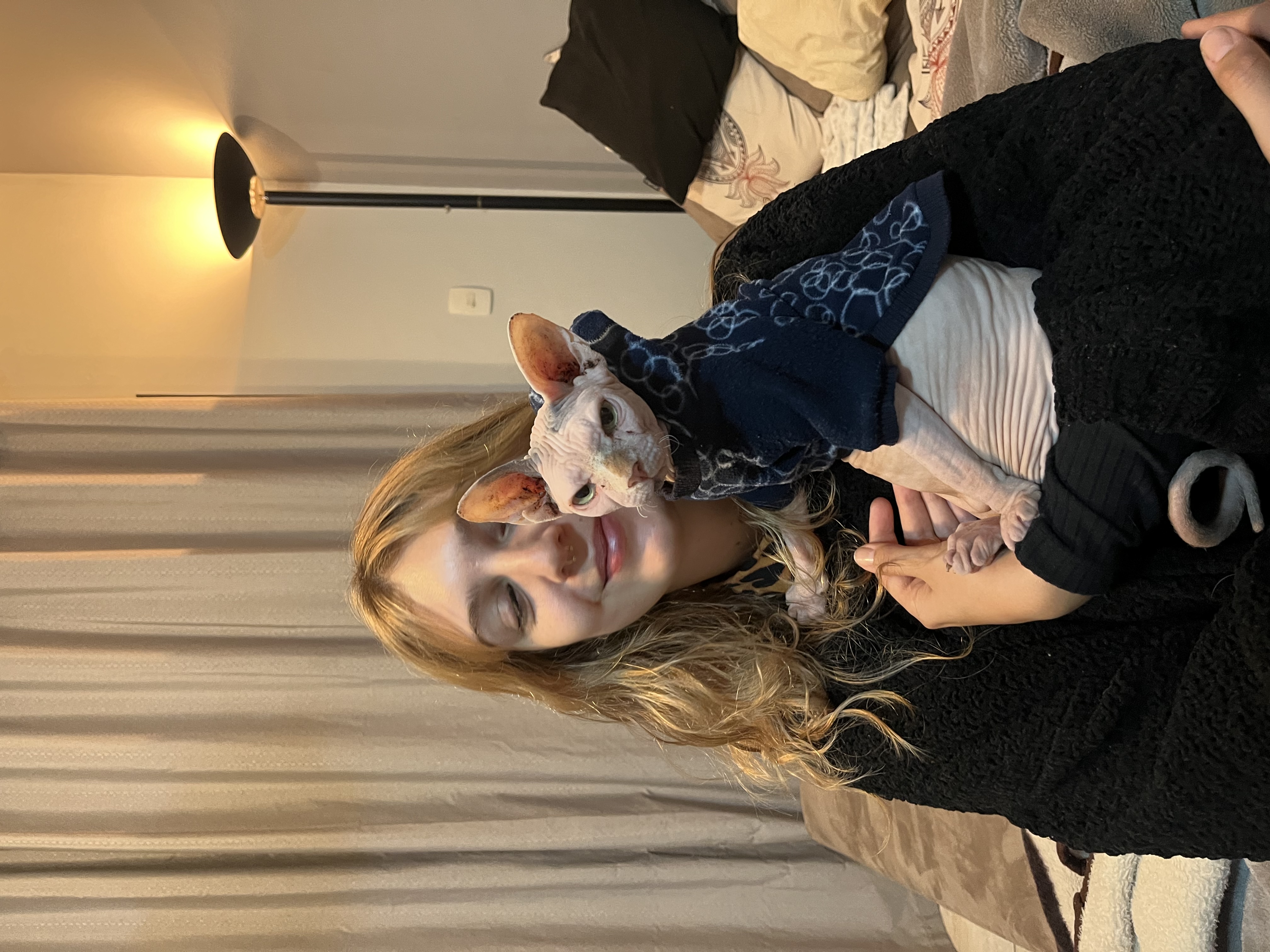 image-7