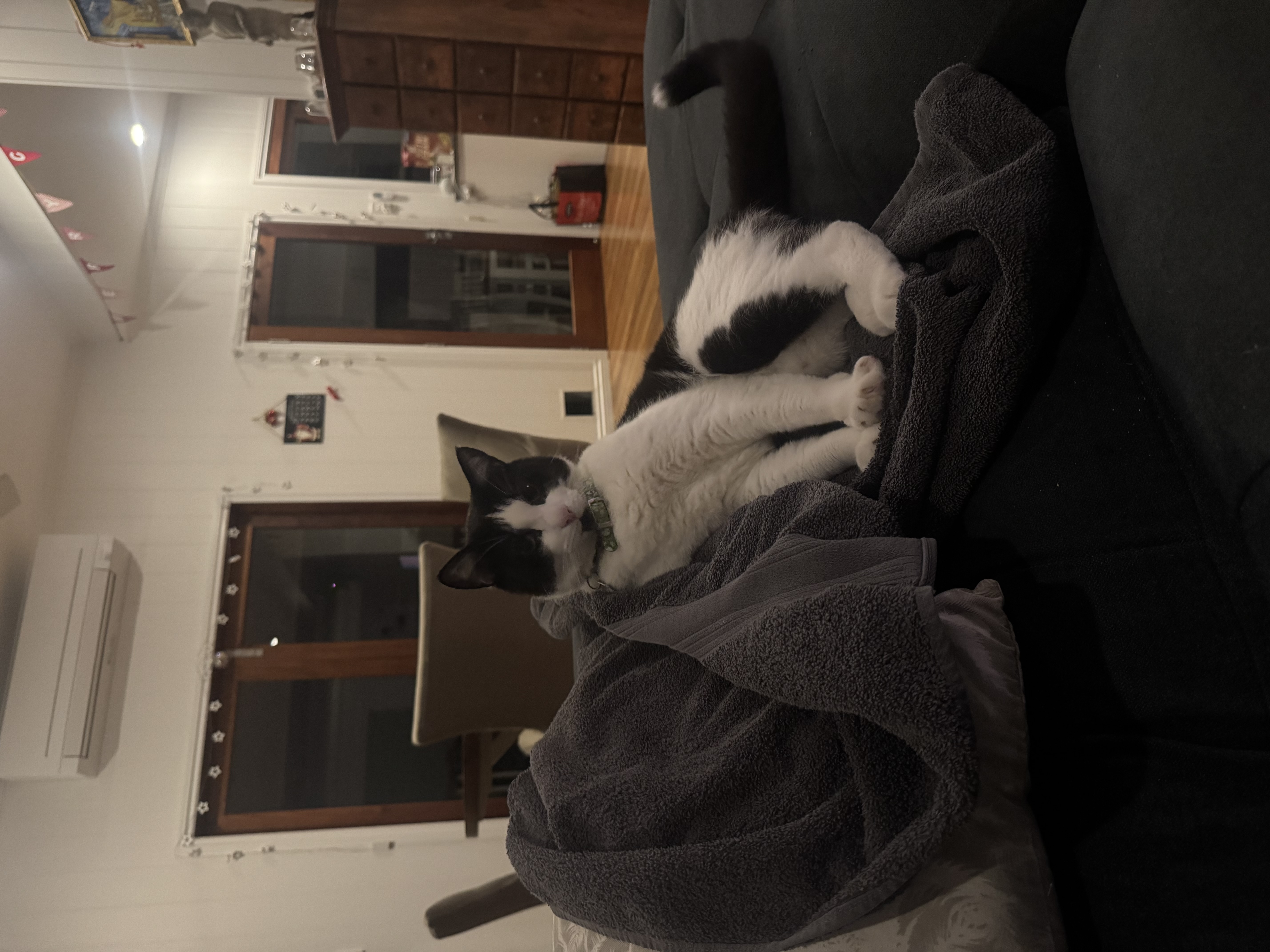 image-7