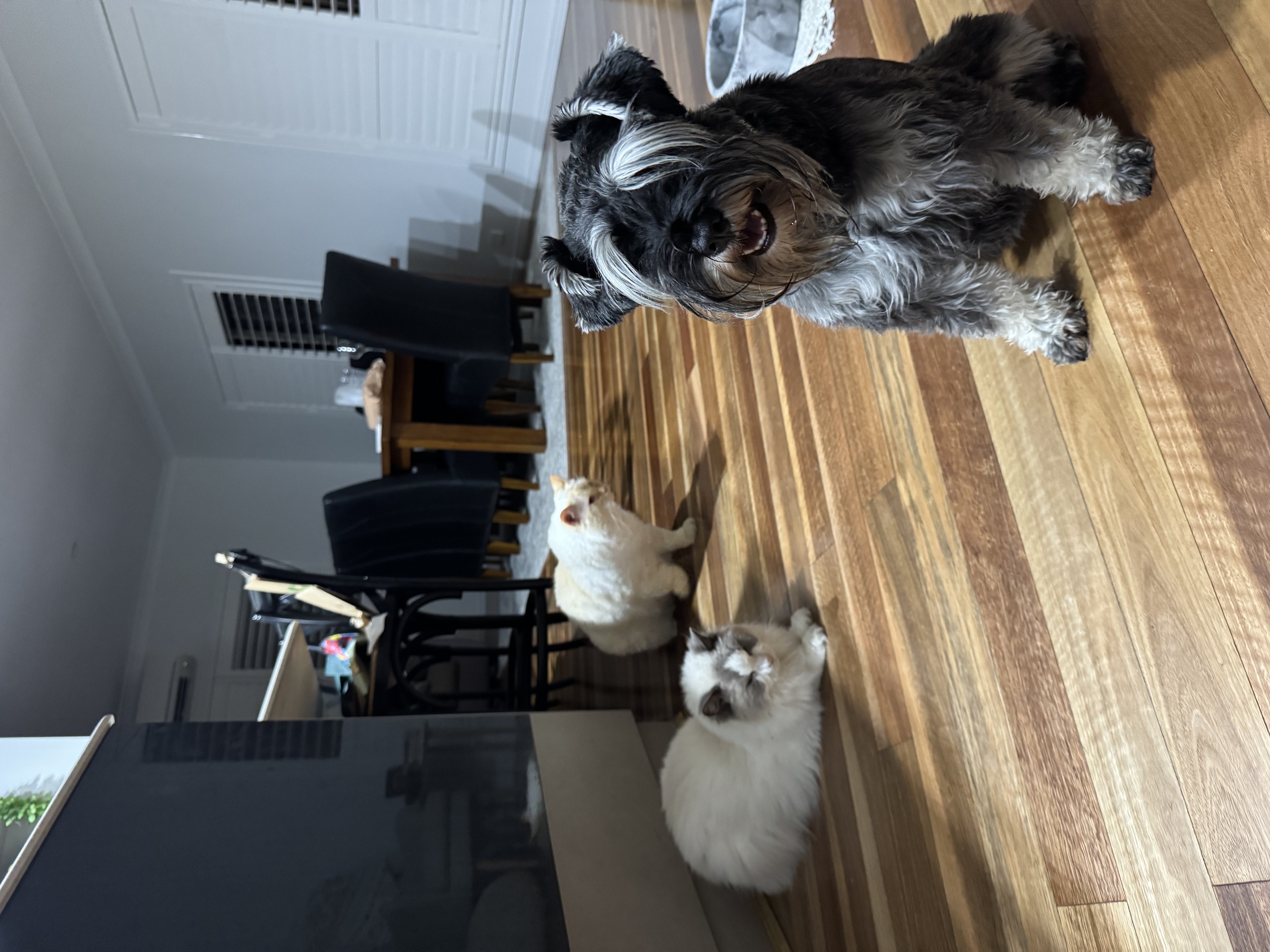 image-4
