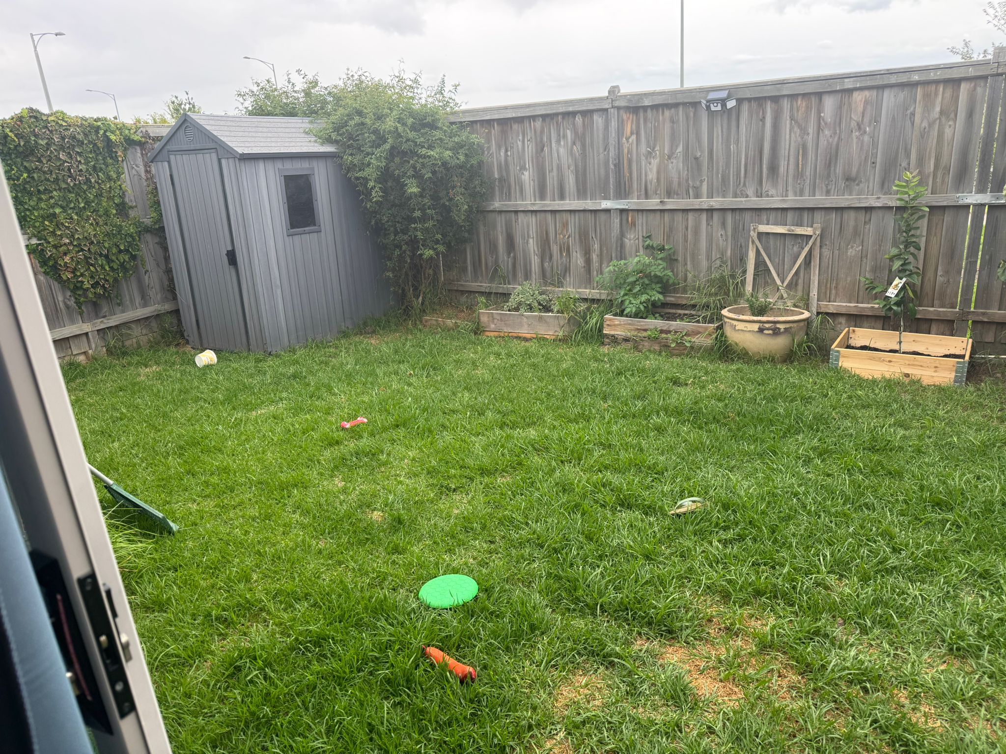 image-8