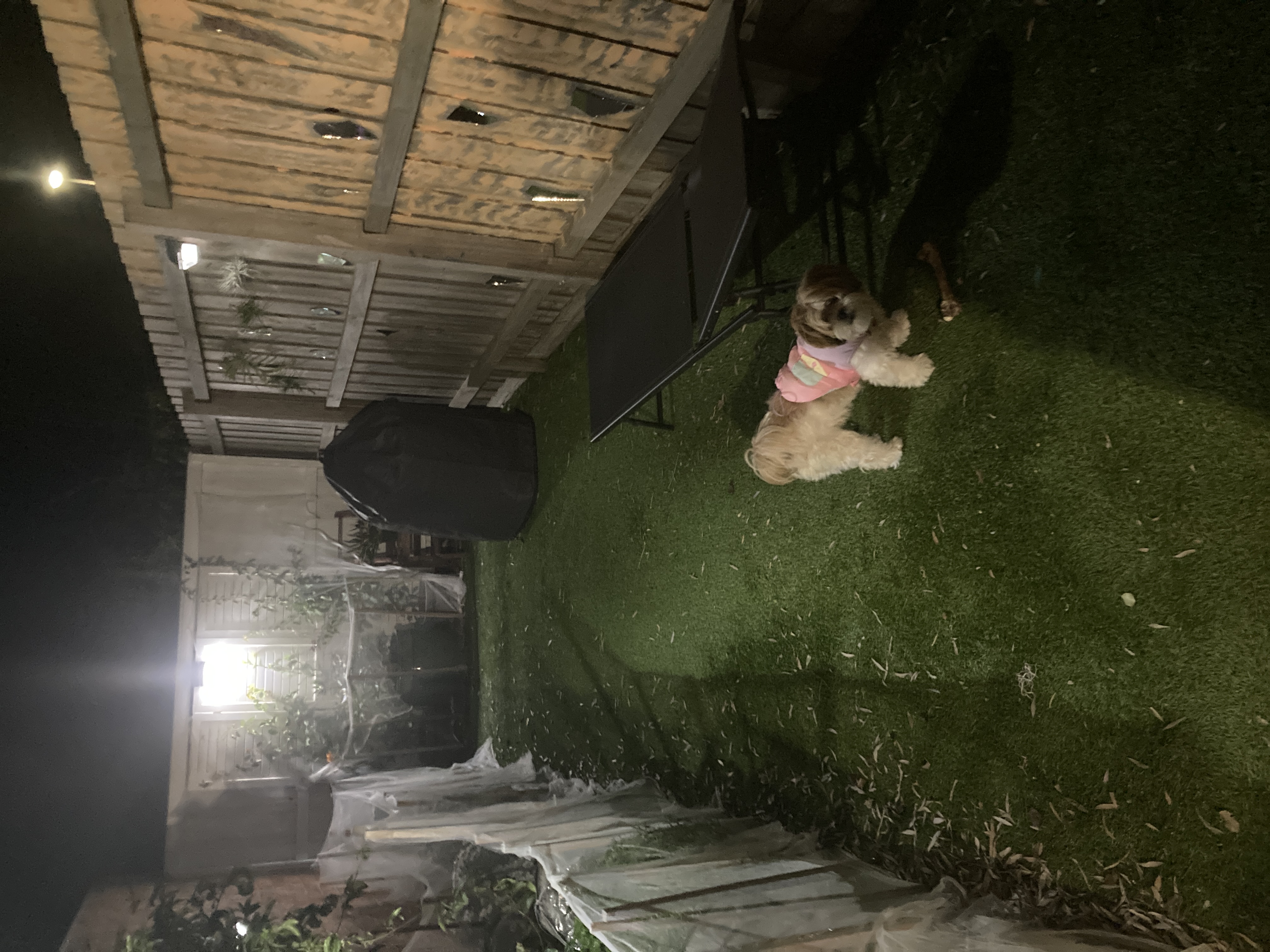 image-12