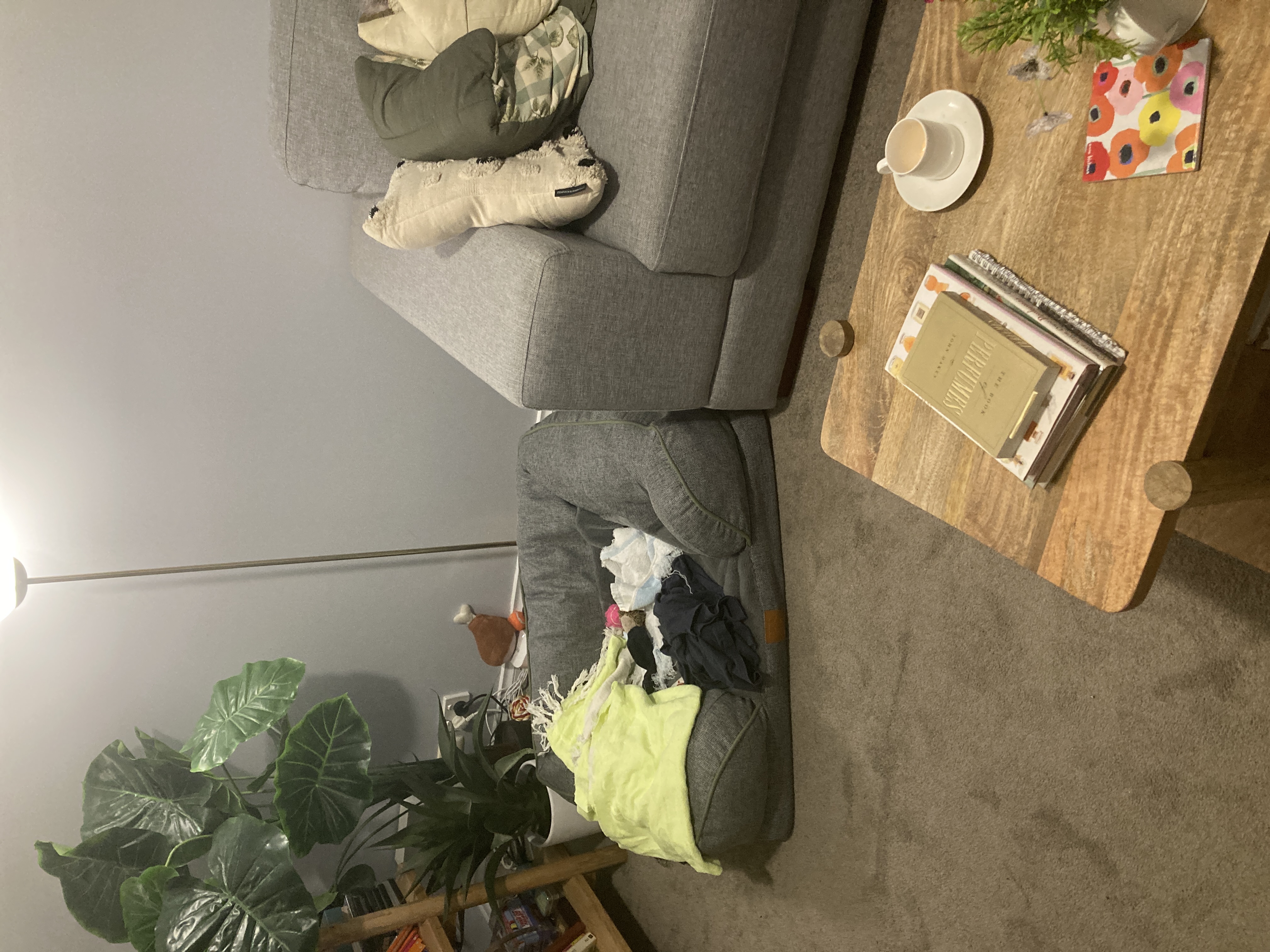 image-11