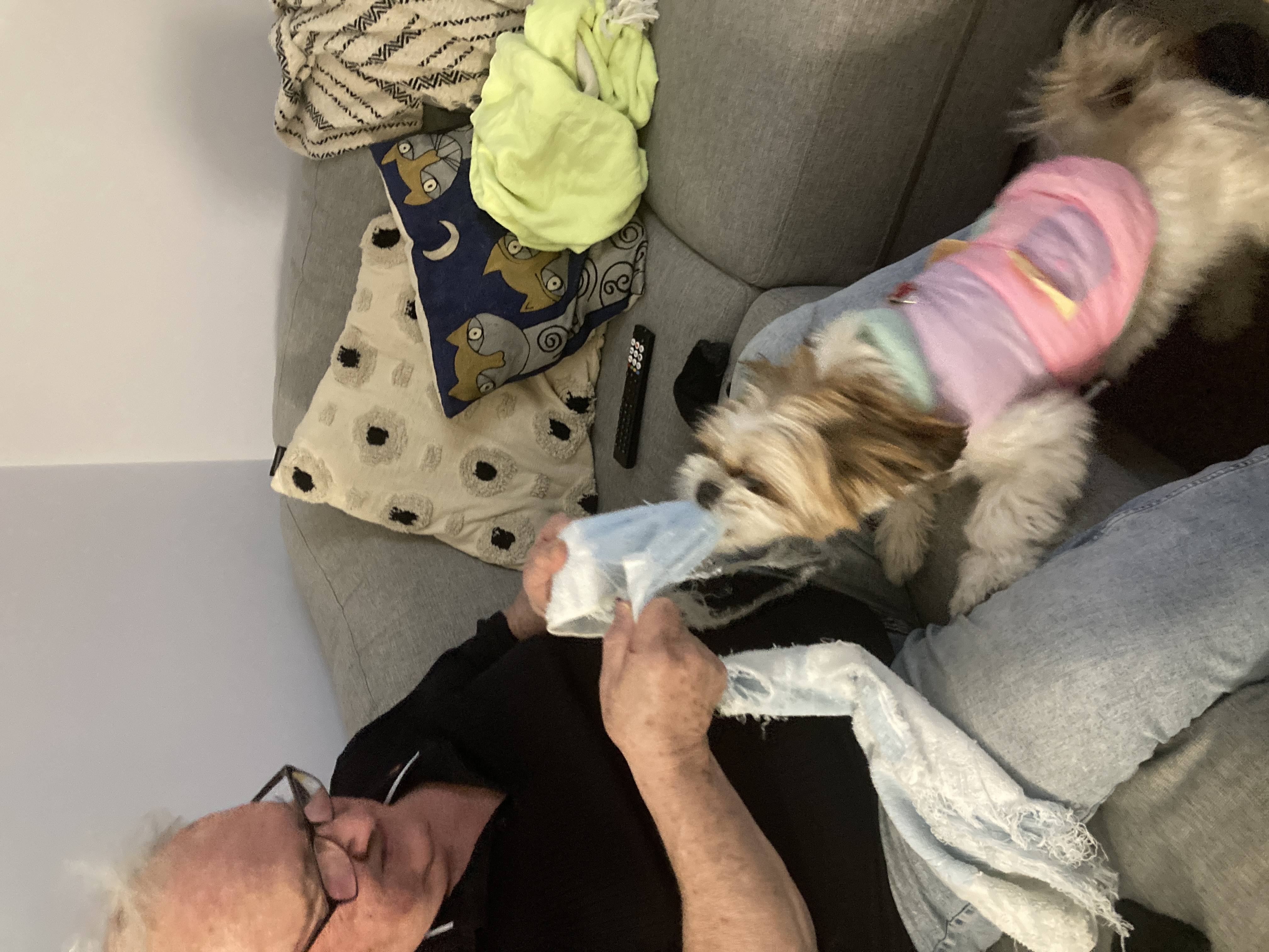 image-9