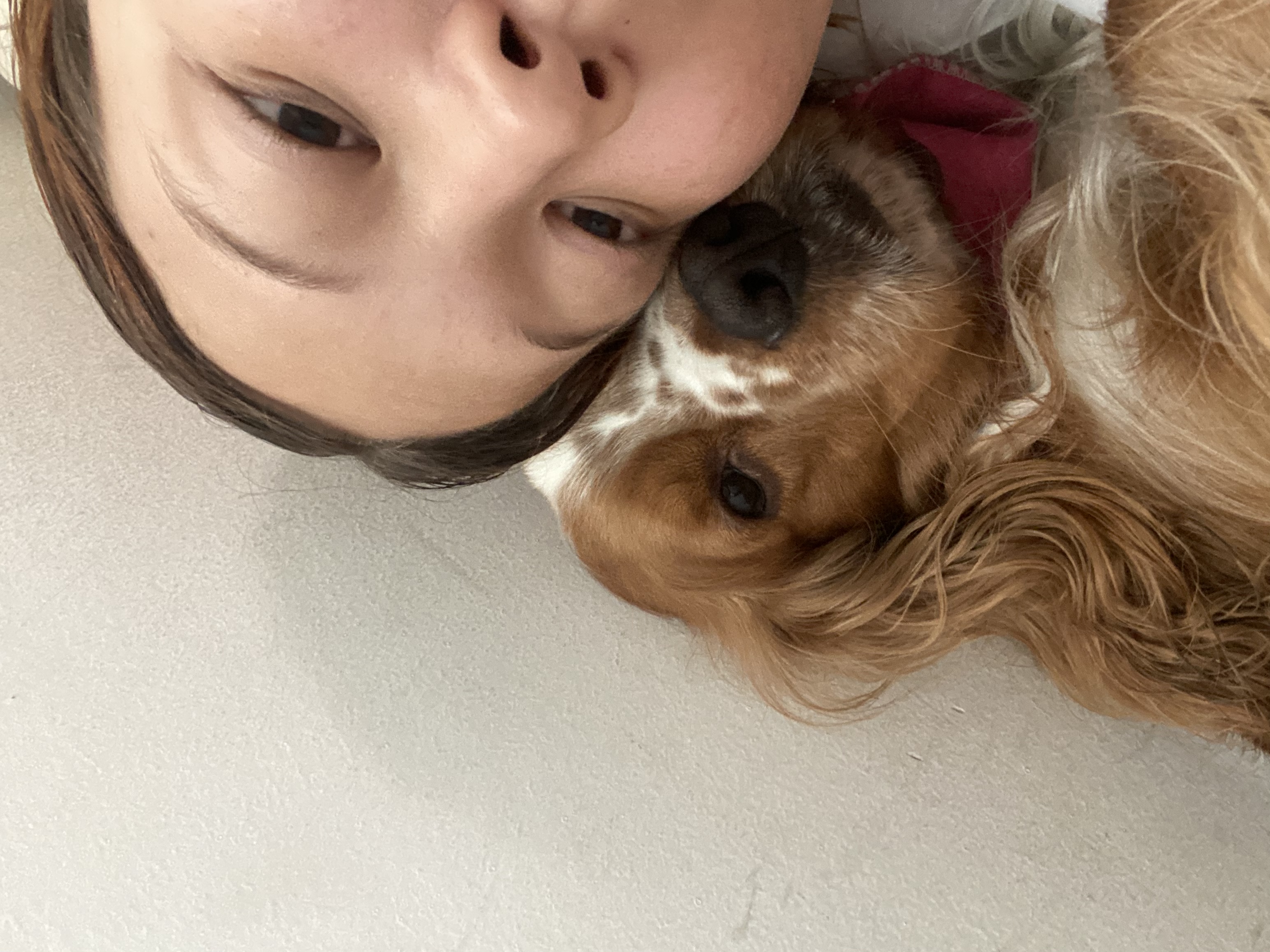 image-9
