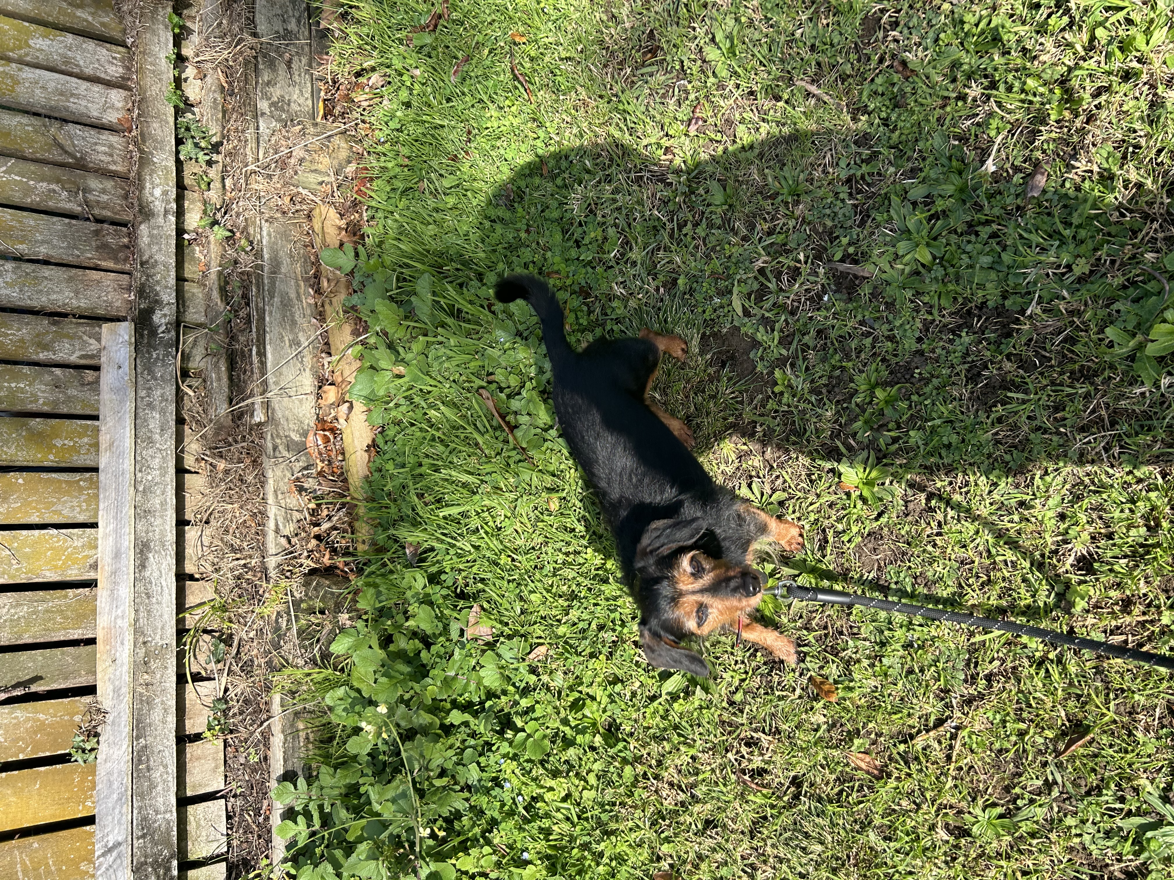 image-10