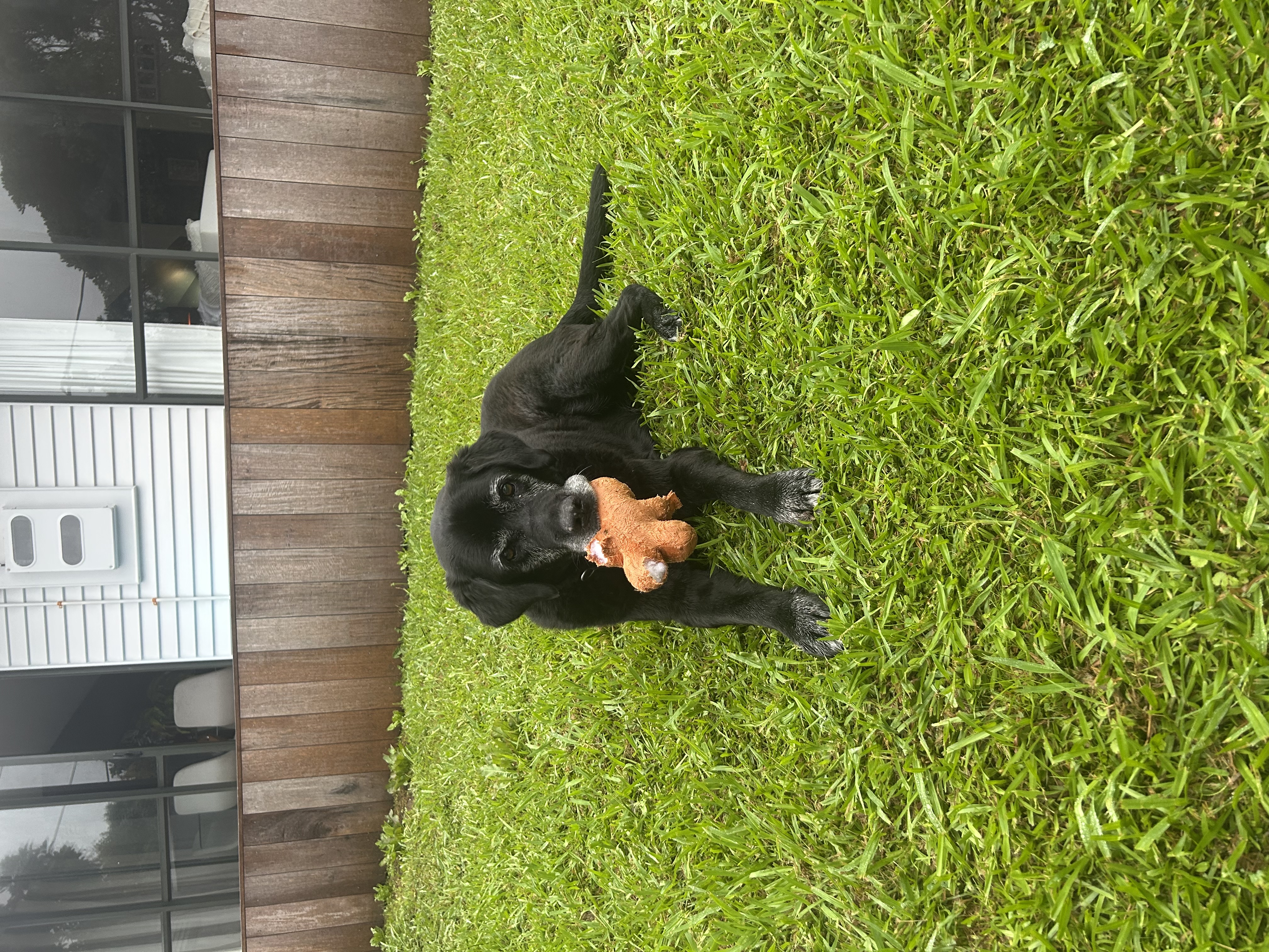 image-3