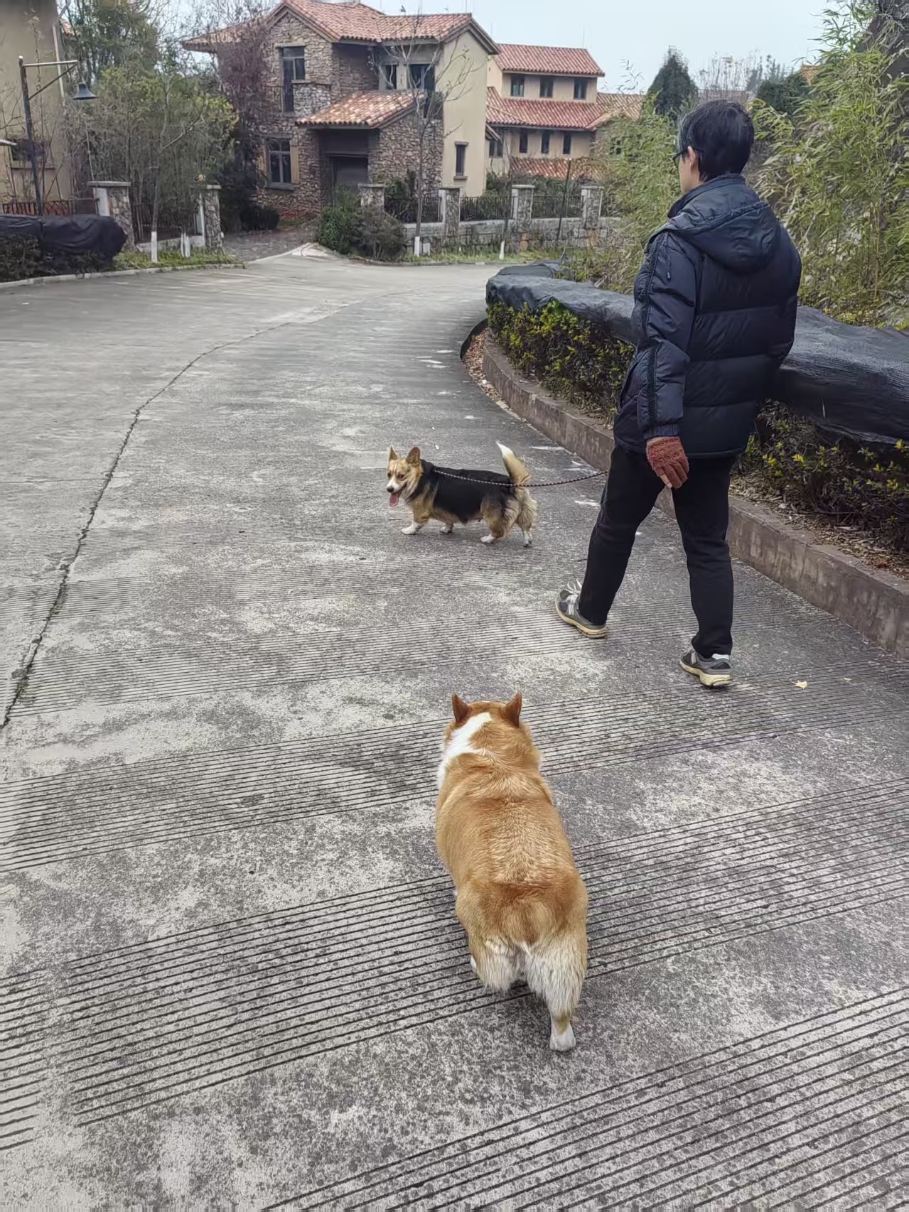 image-22
