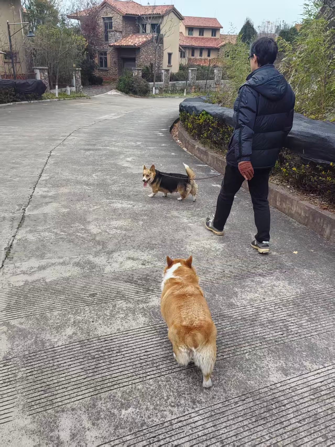 image-22