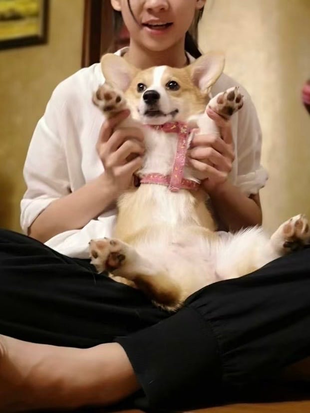 image-8