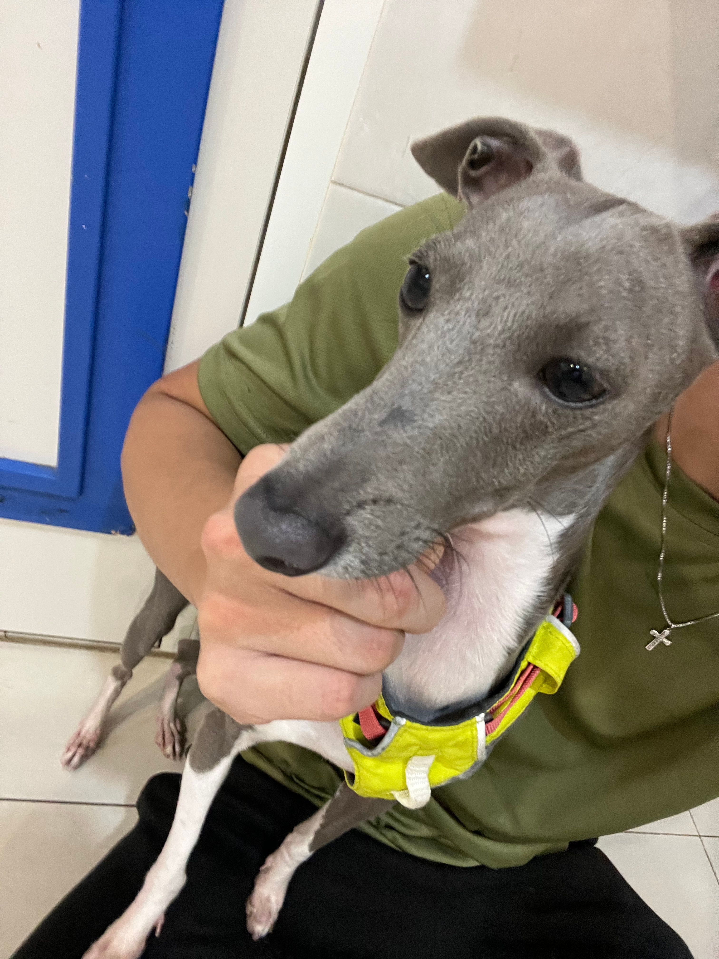 image-2