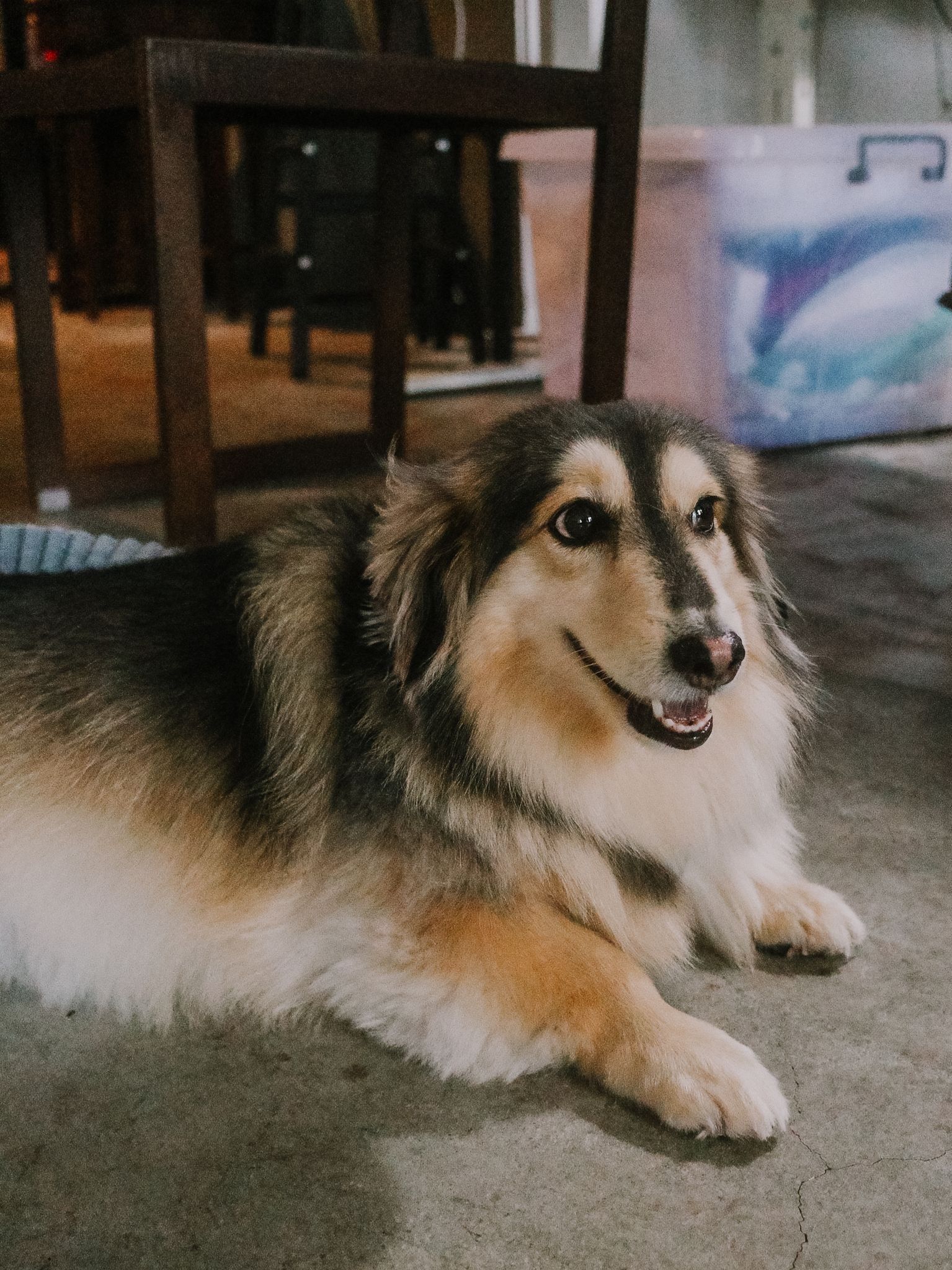 image-2