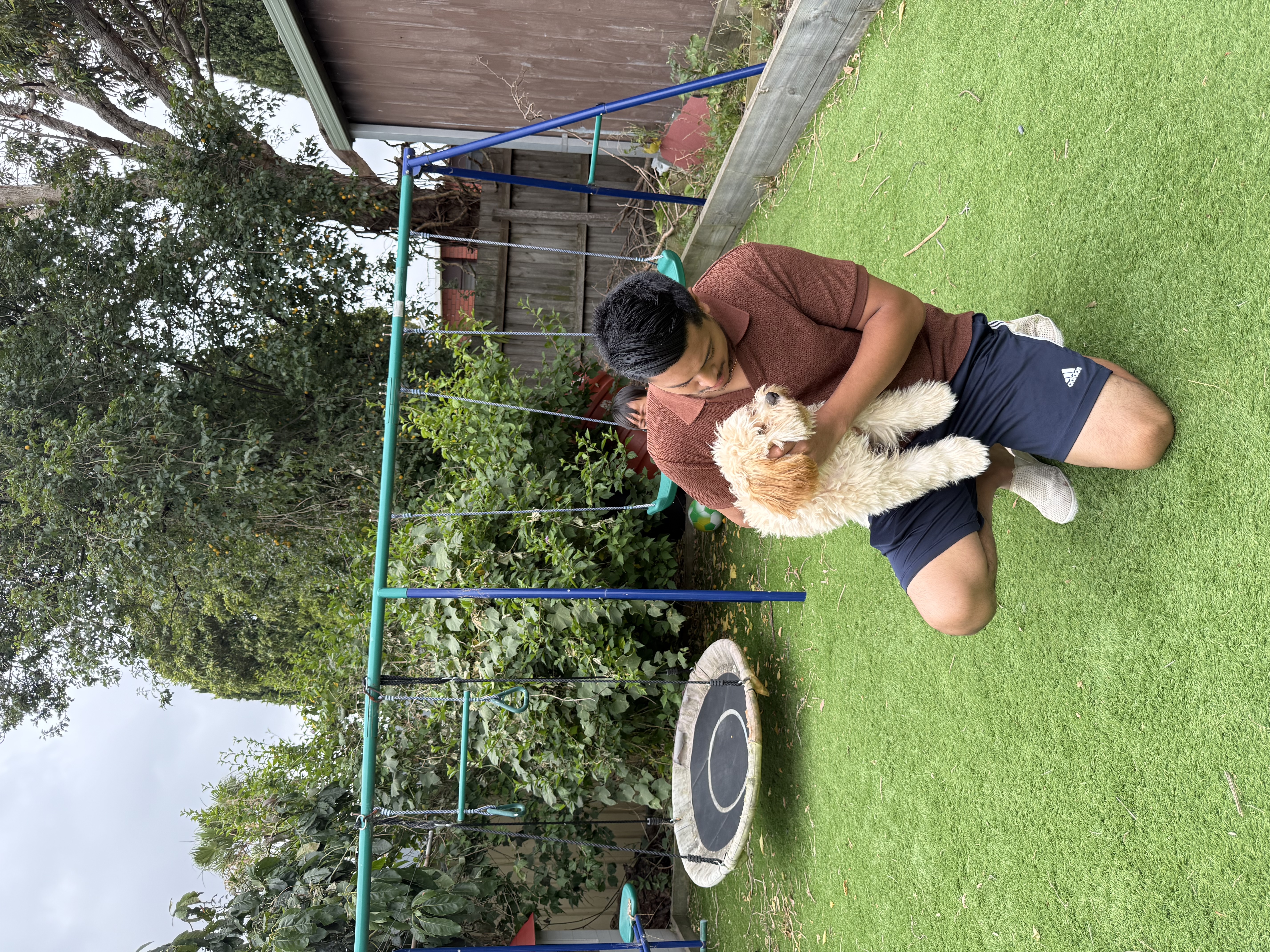 image-11
