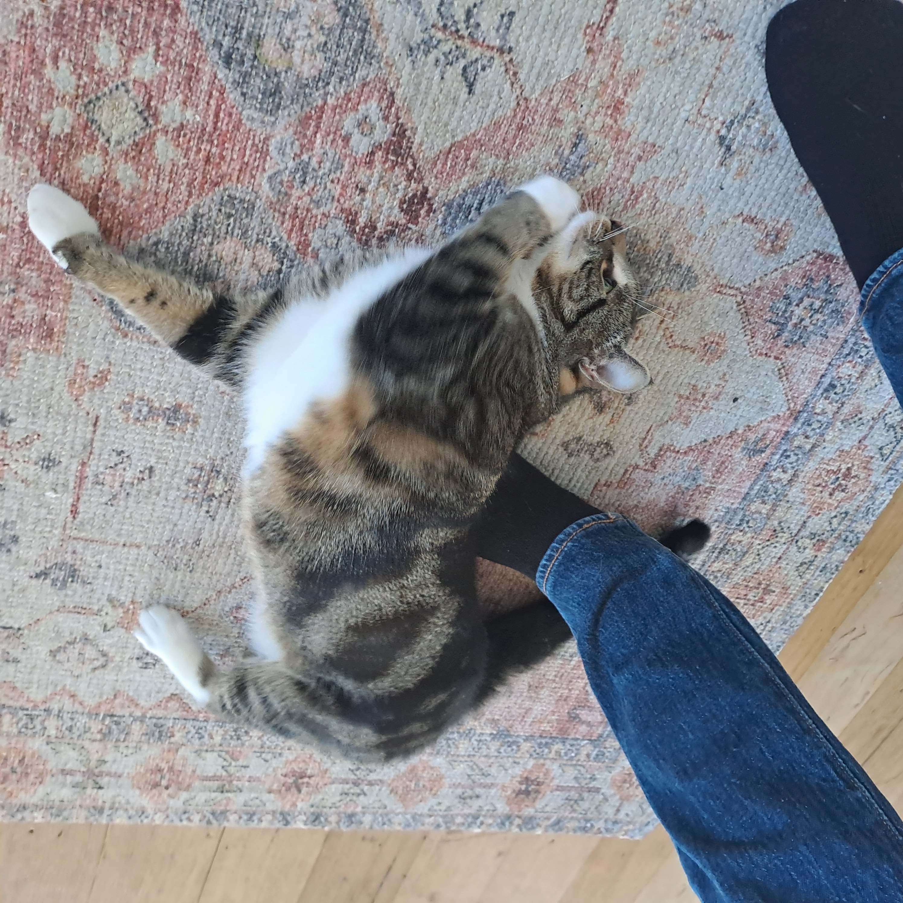 image-6