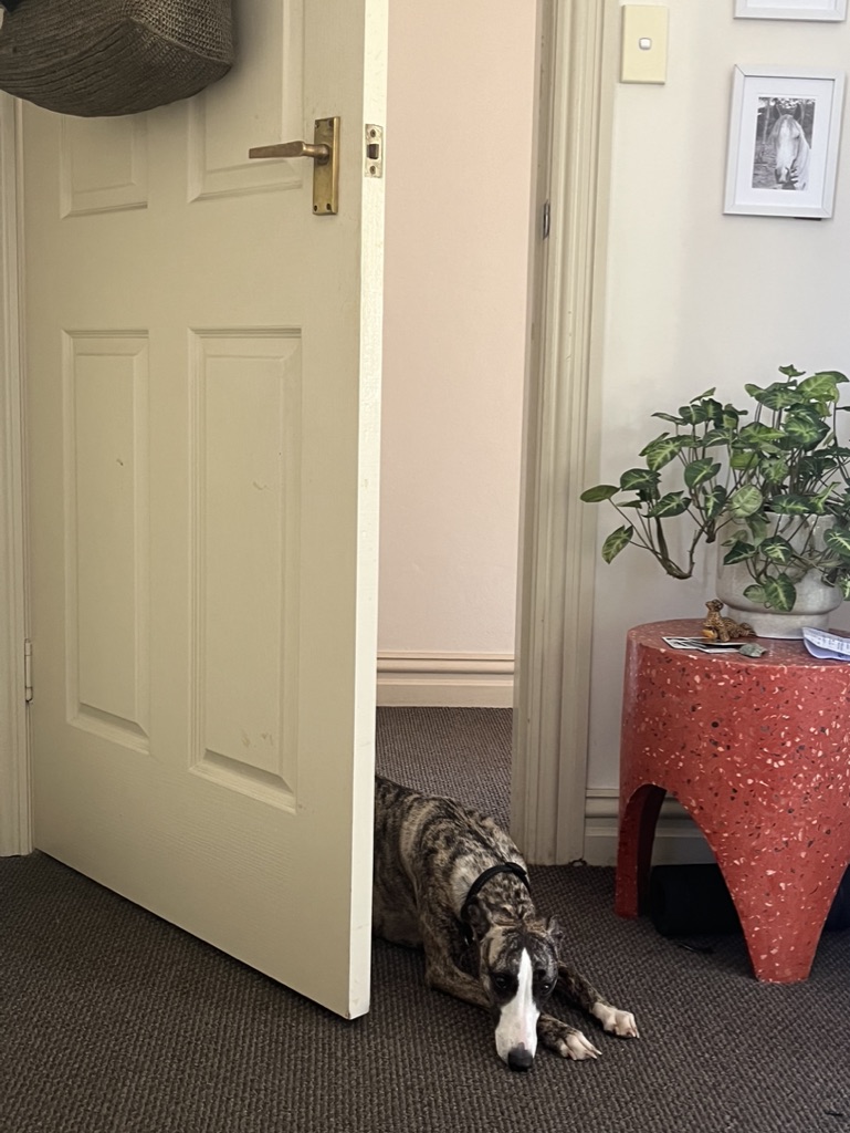 image-14