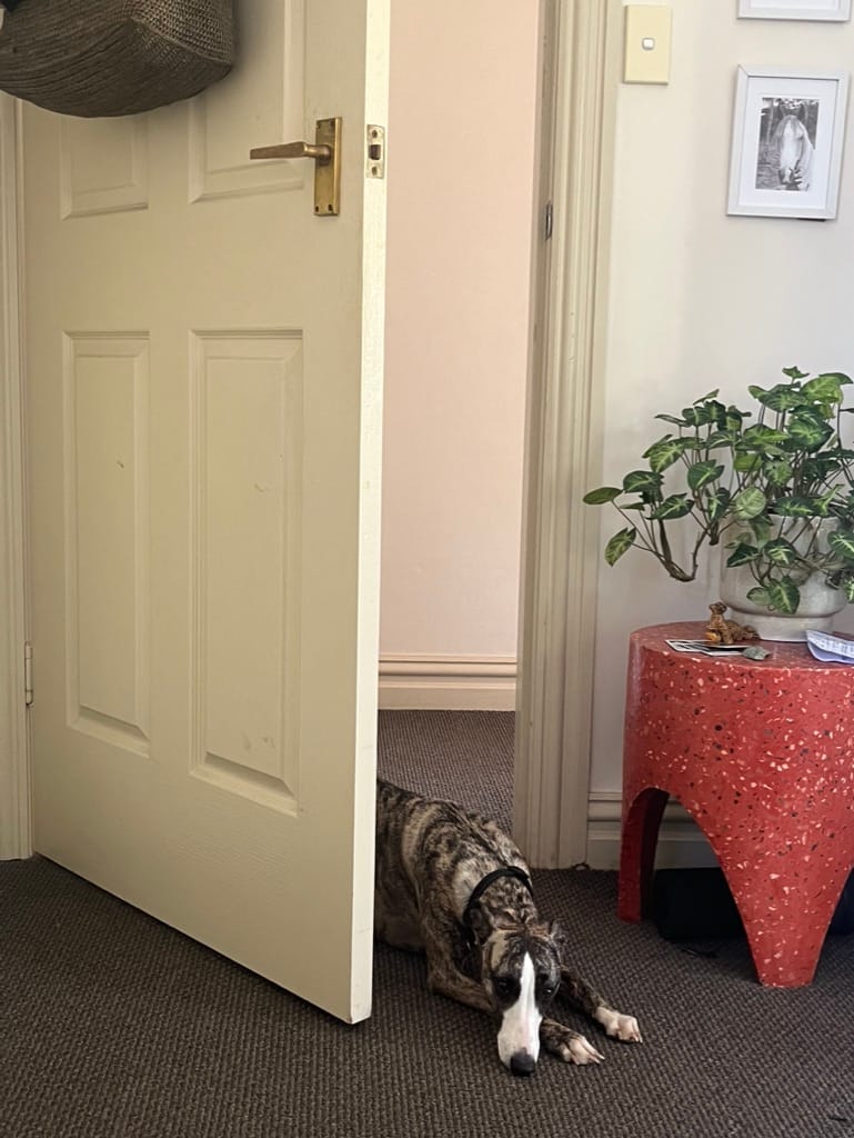 image-14