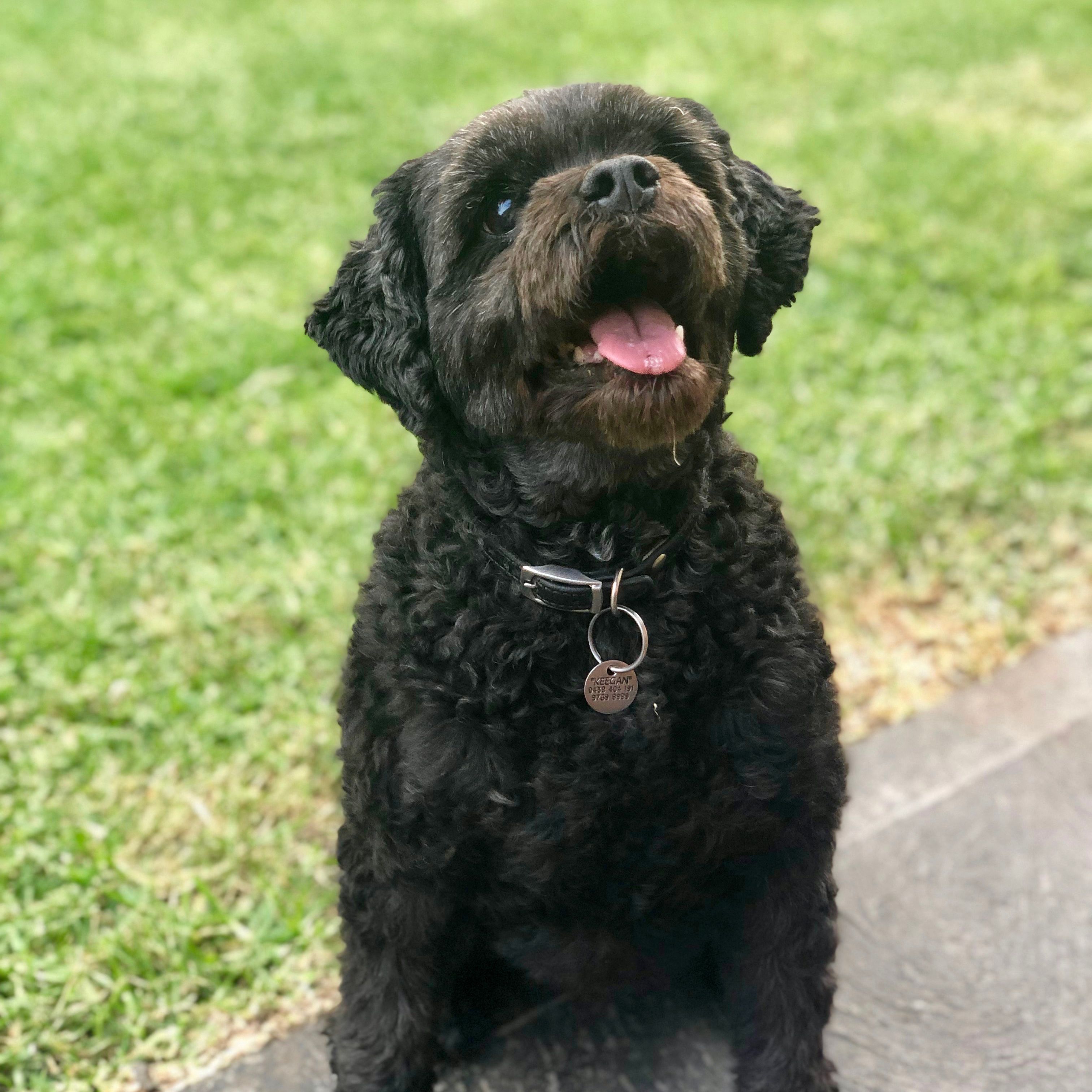 Keegan
