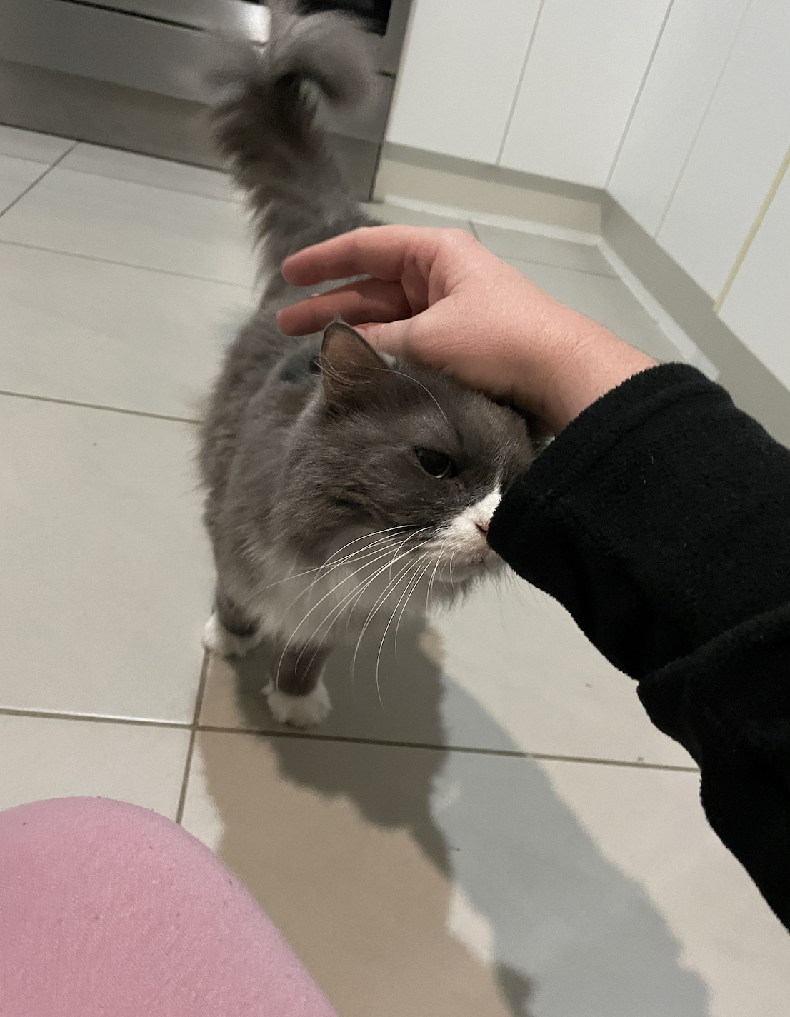 image-8