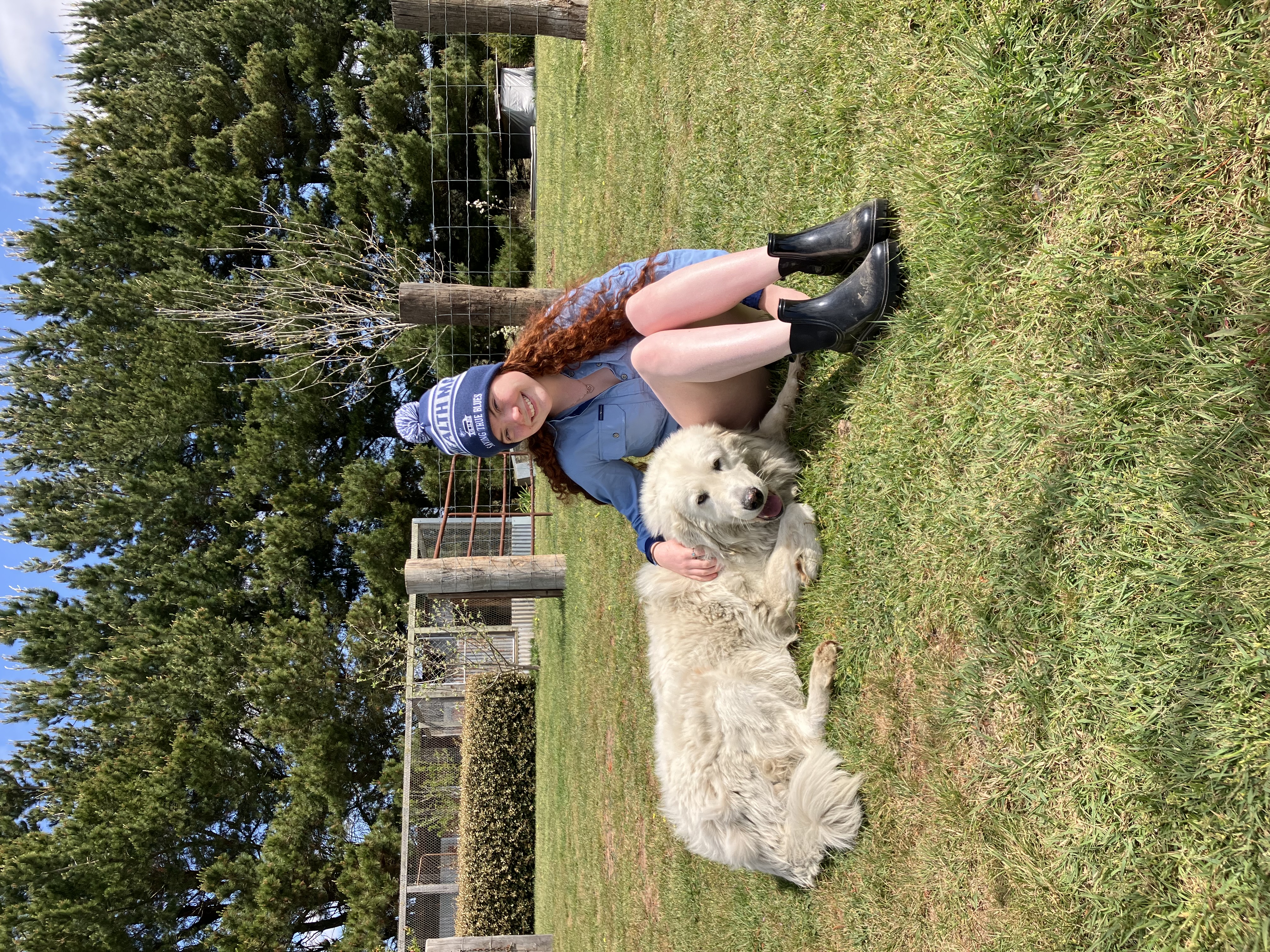image-2