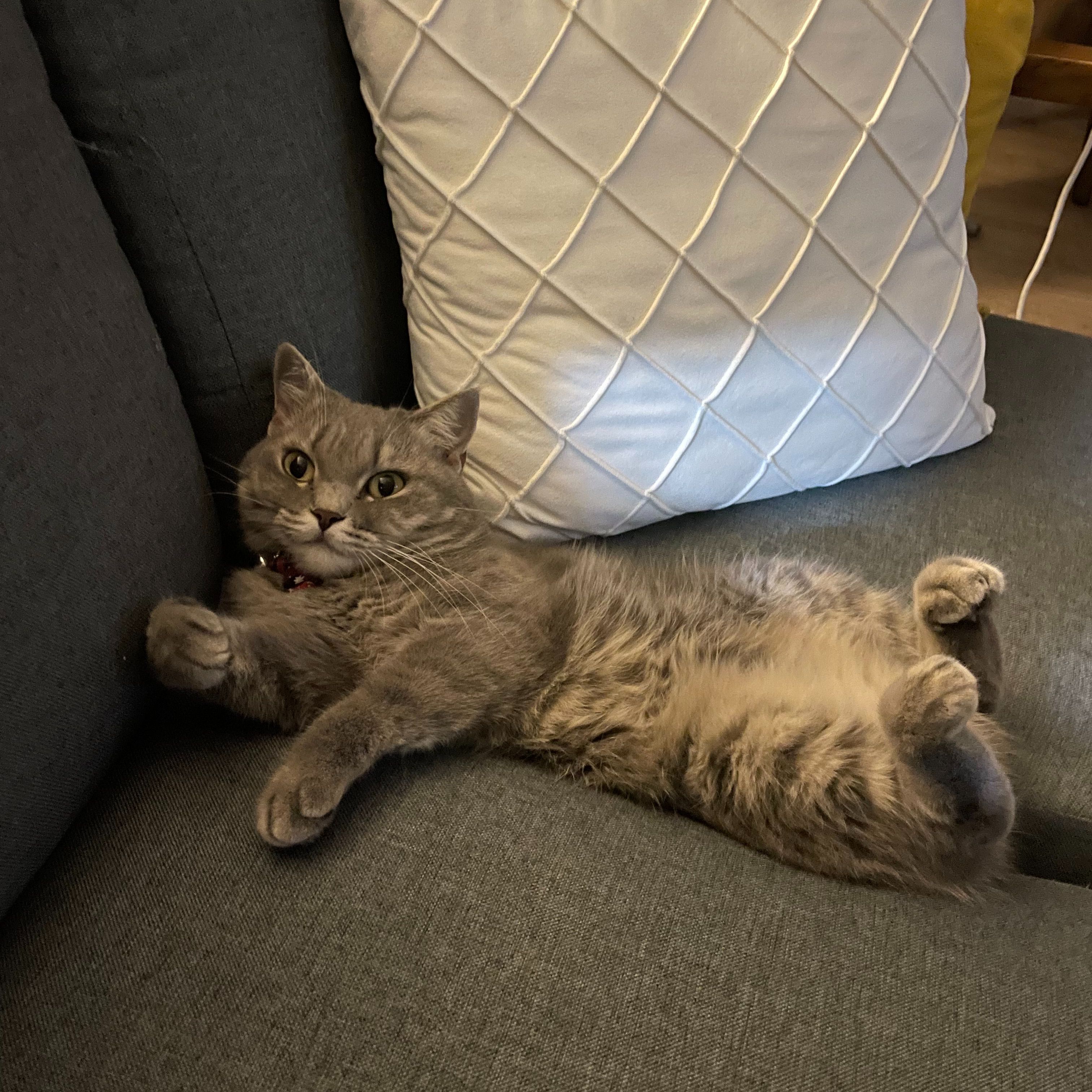 Kiki