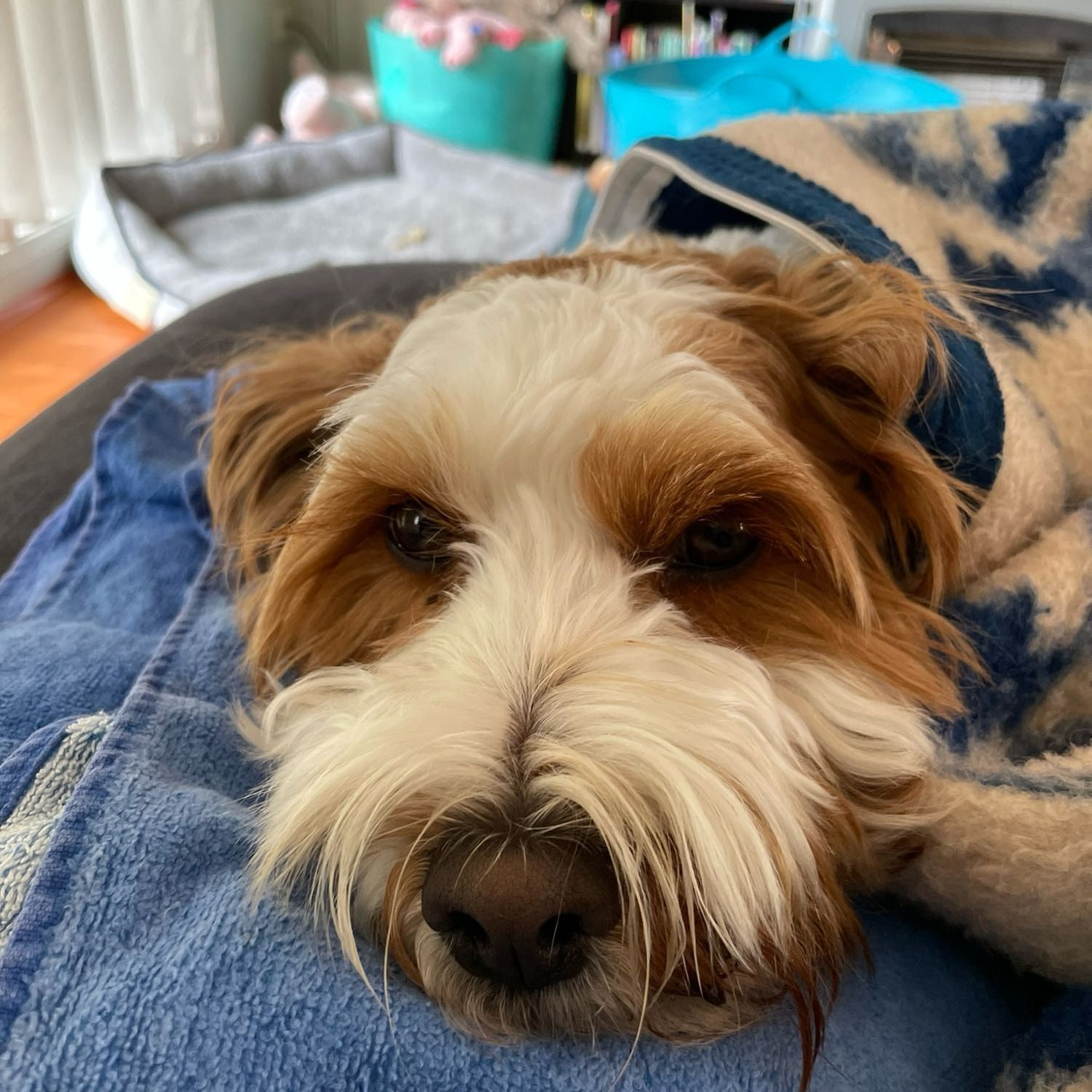 Millie