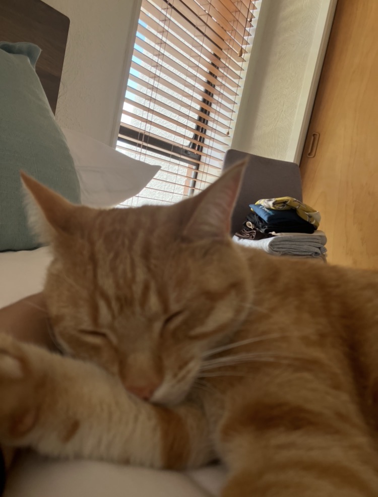 image-5